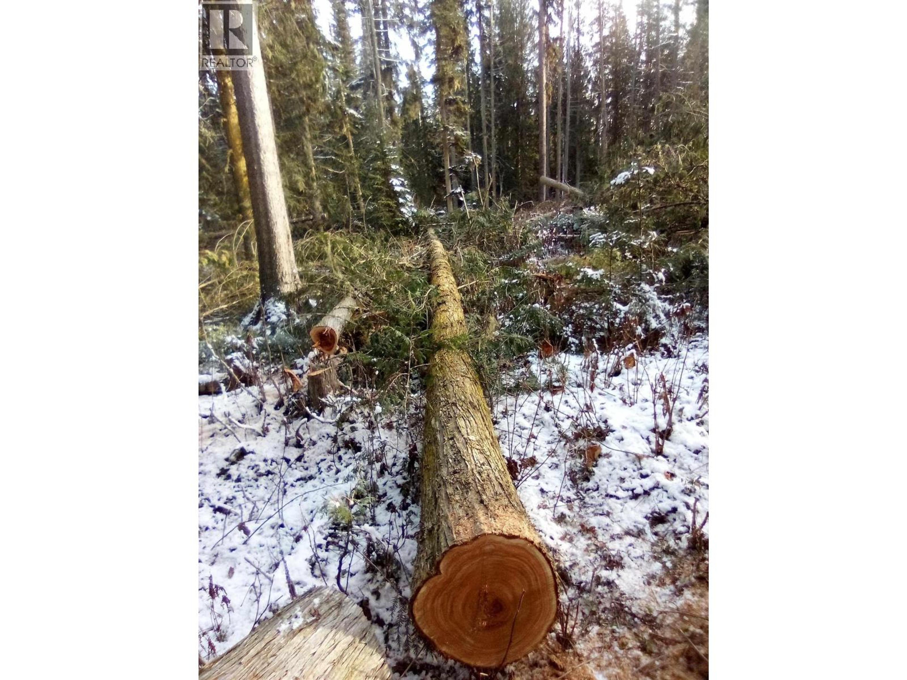 BLK D DOME CREEK - Image 5