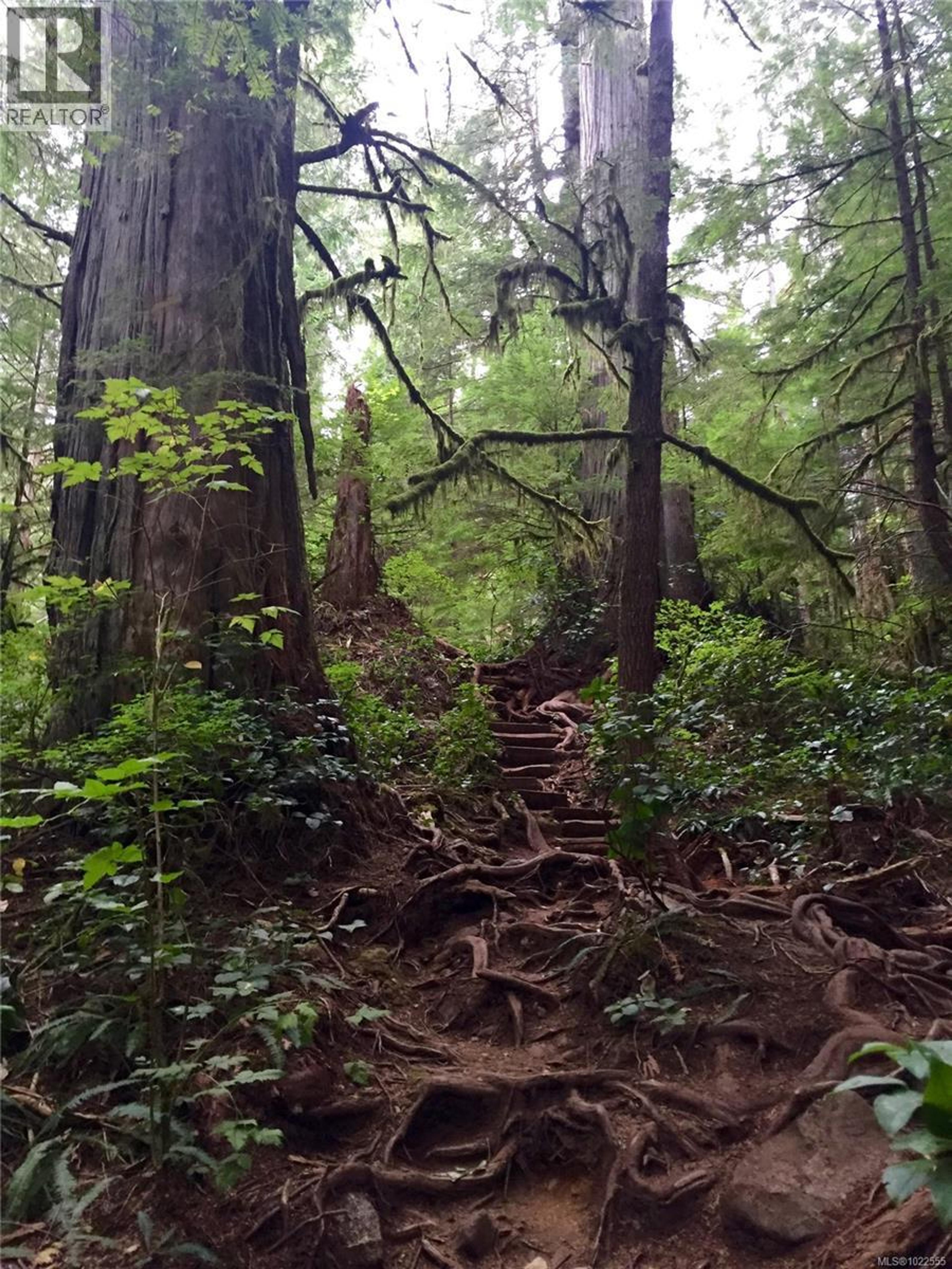 #29 6240 CERANTES RD - 18