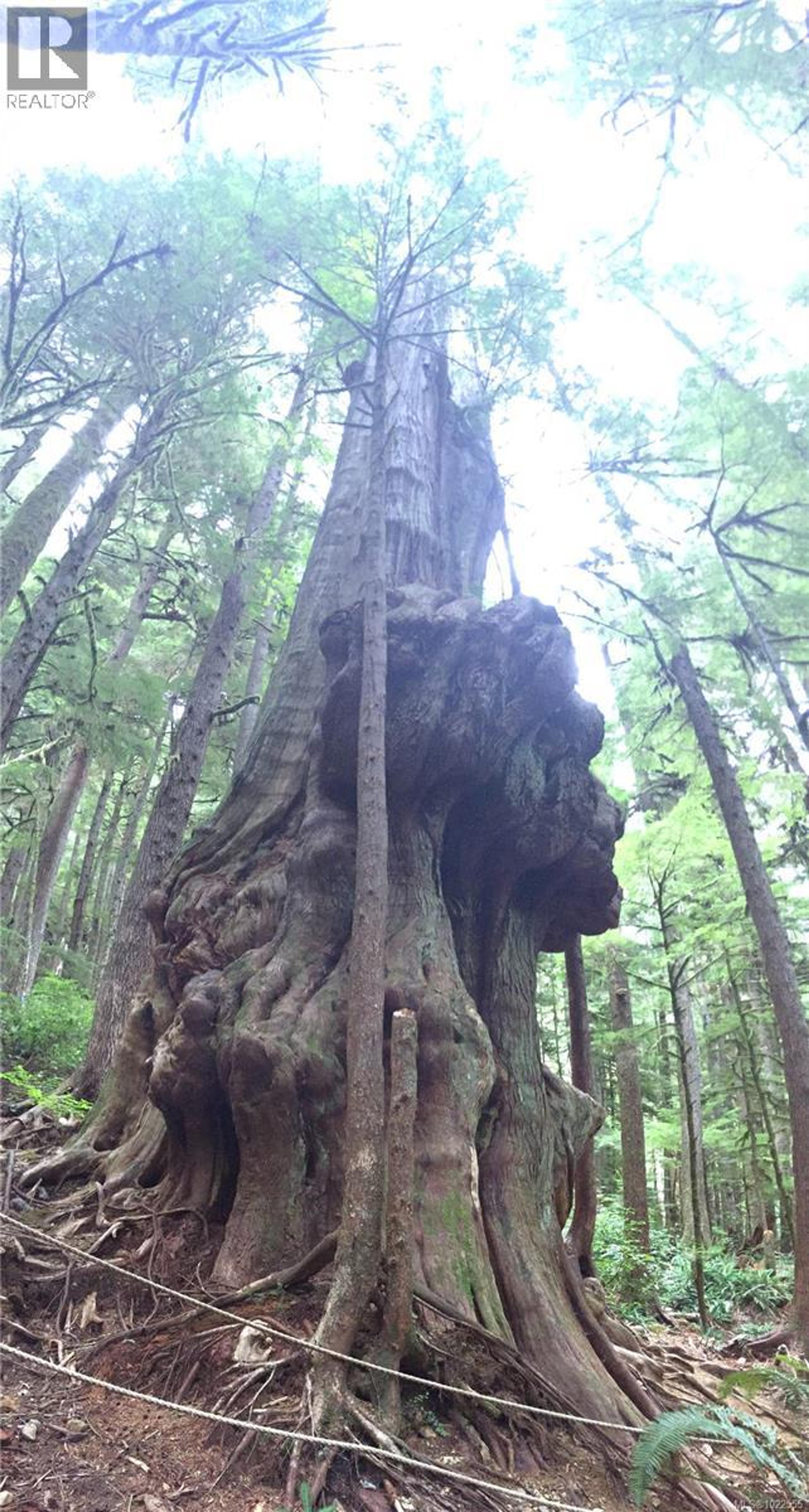 #29 6240 CERANTES RD - 19