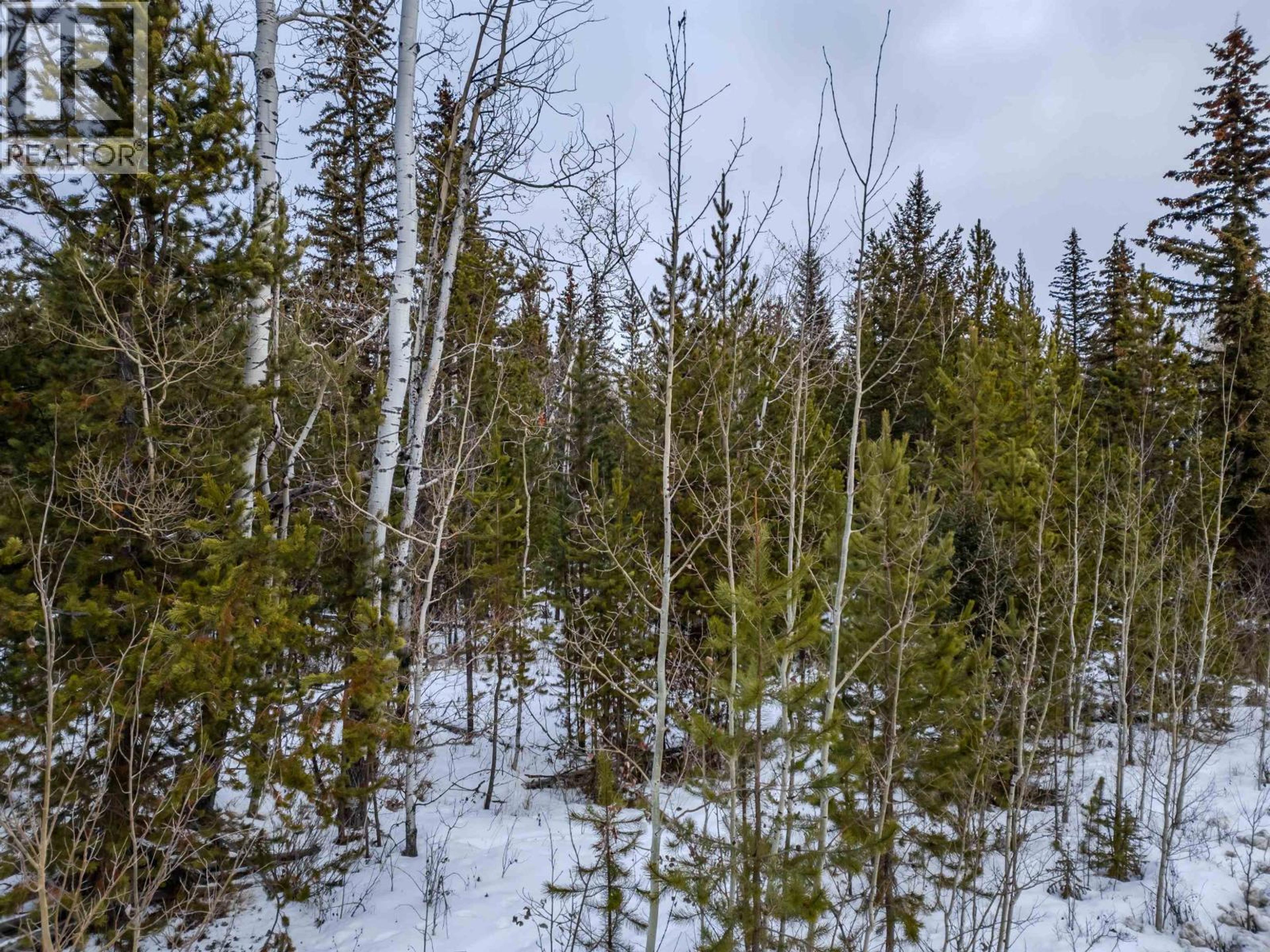 6317 HORSE LAKE ROAD - Image 10