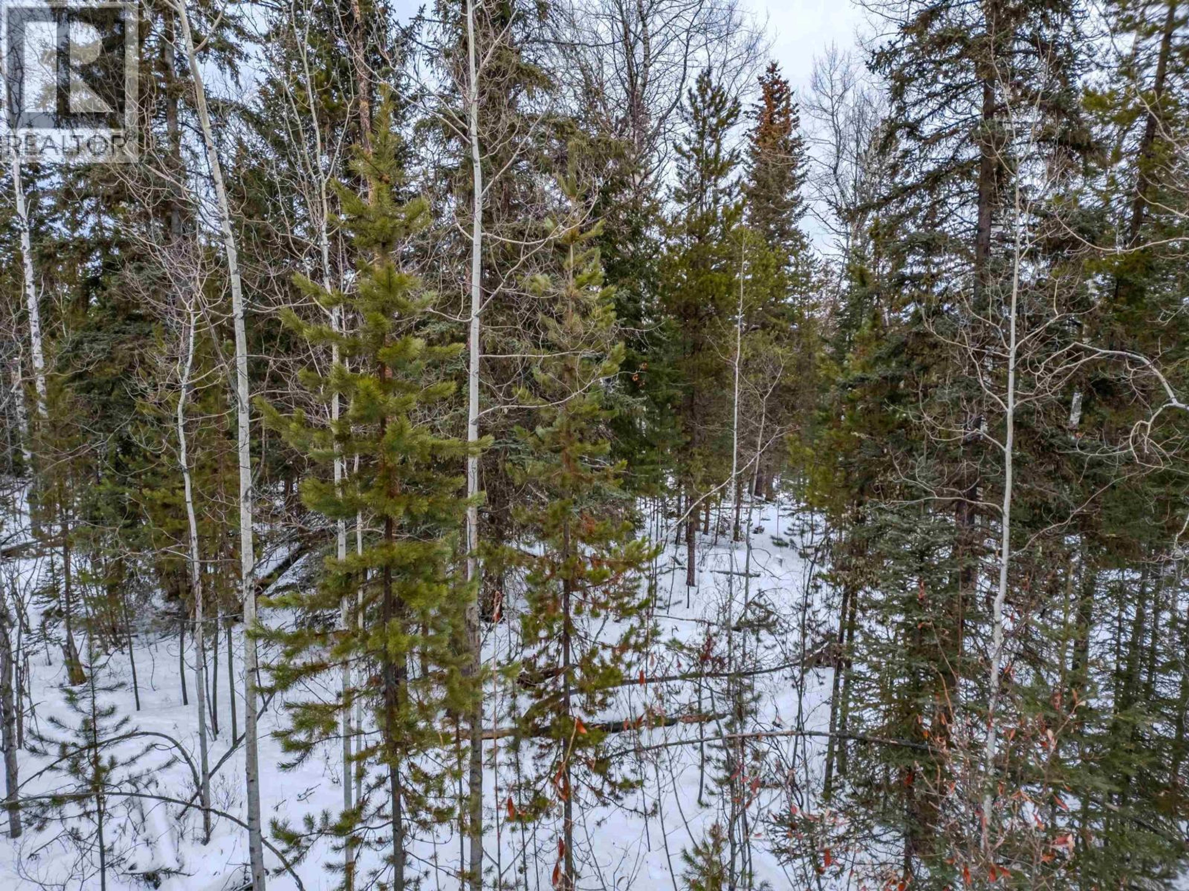 6317 HORSE LAKE ROAD - Image 8