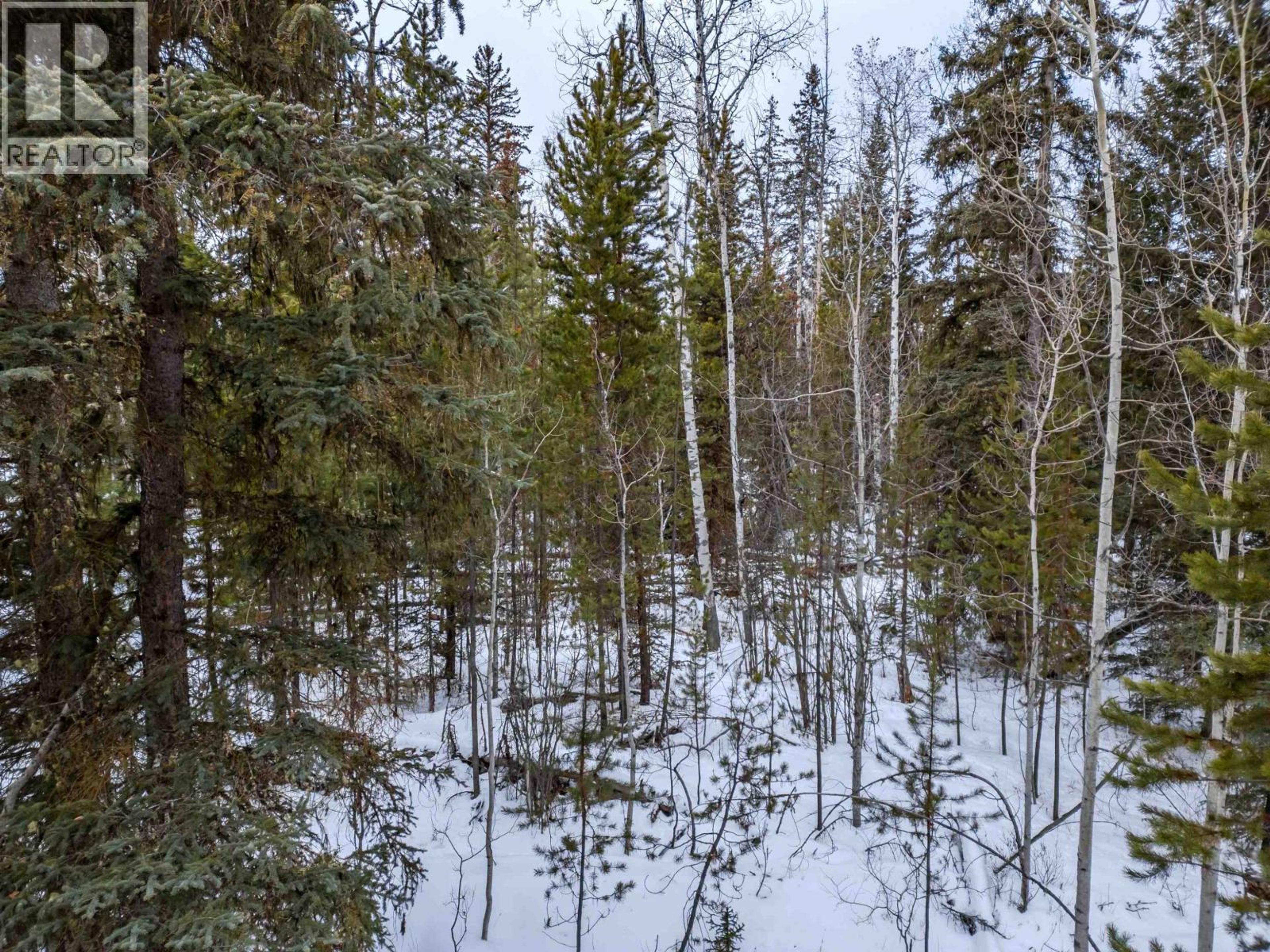 6317 HORSE LAKE ROAD - Image 9