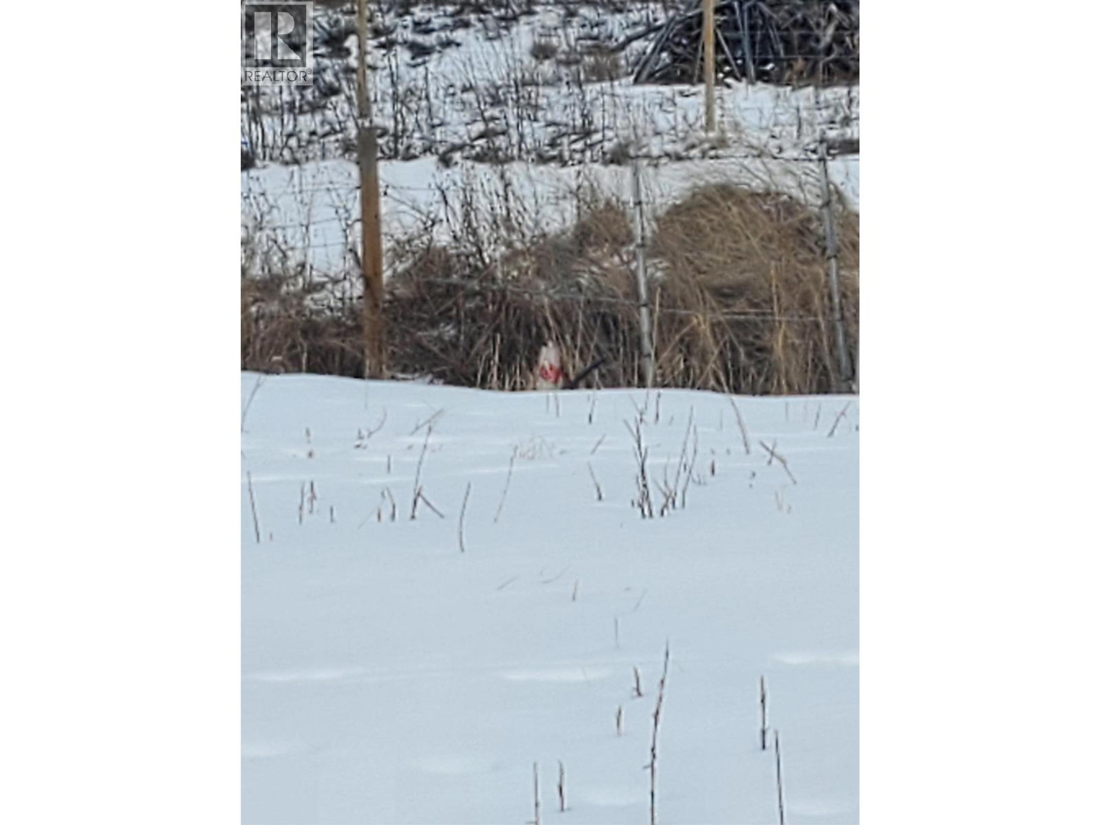 4841 TIMOTHY LAKE ROAD - Image 7