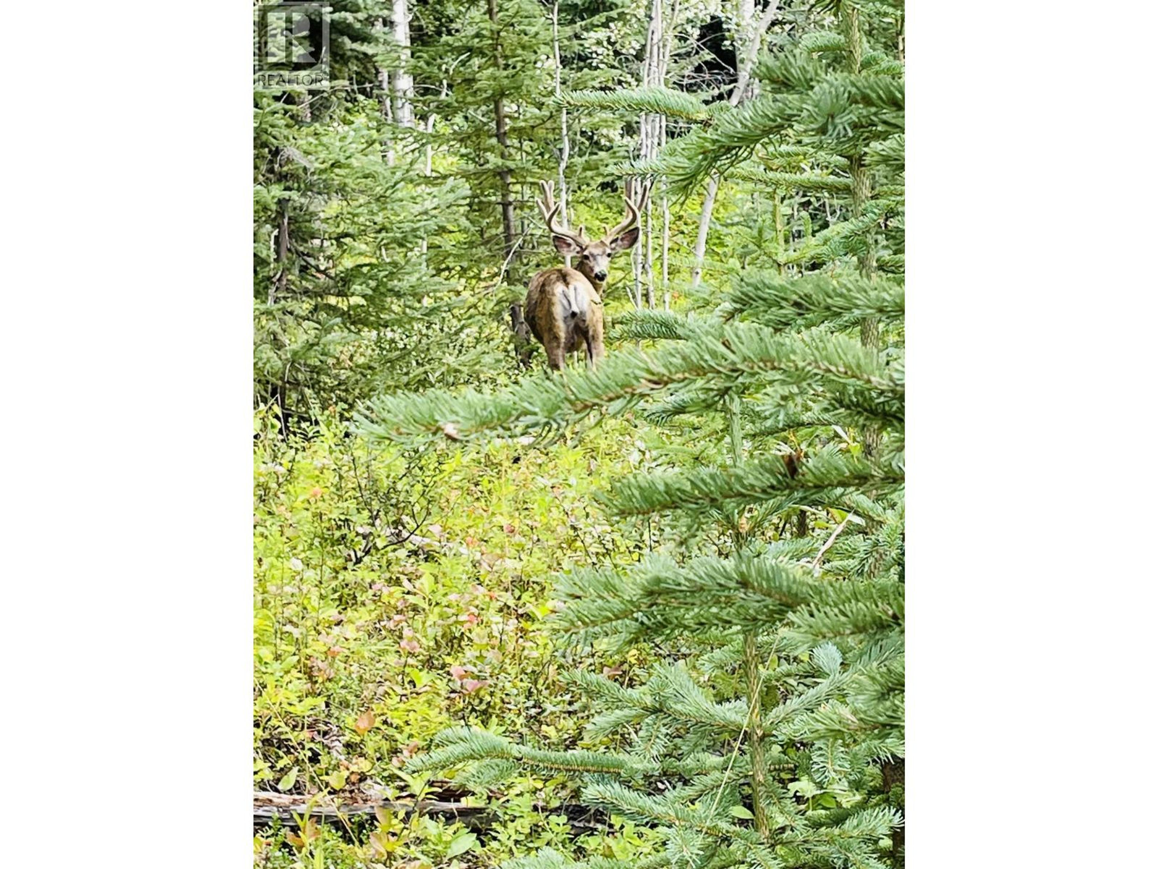 45455 BYRANSTON DRIVE - 11