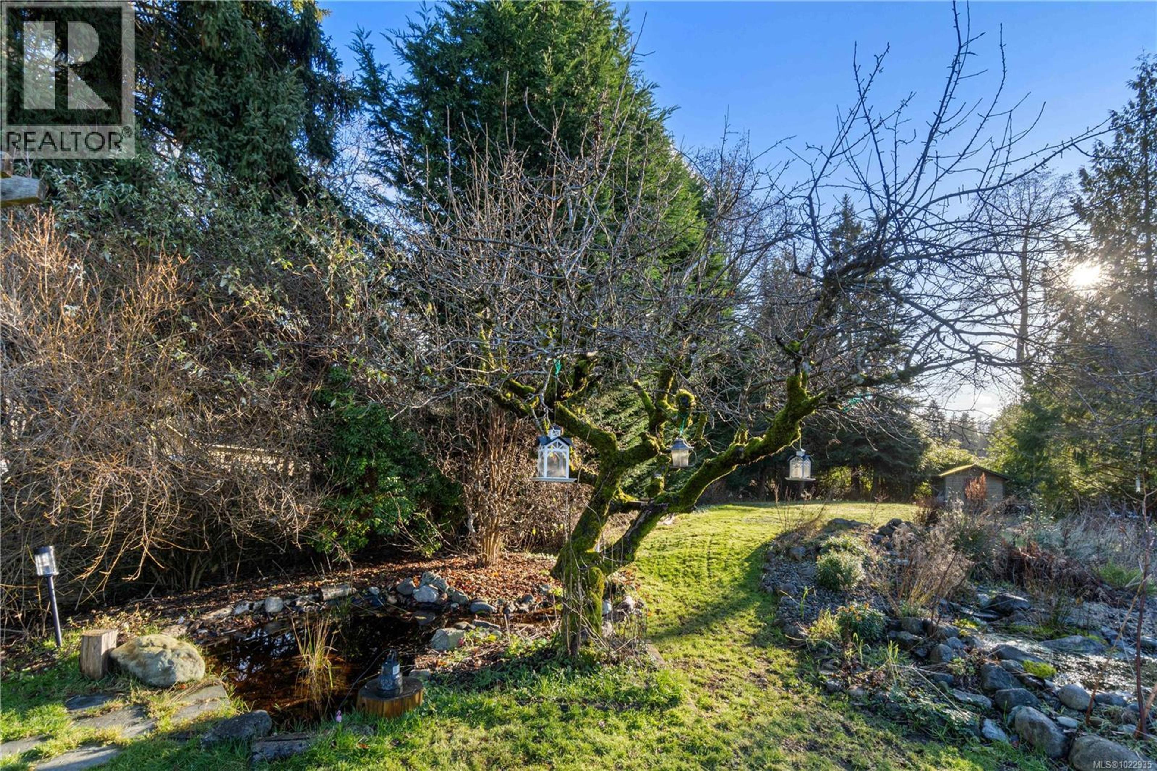 3872 ISLAND HWY W - 62