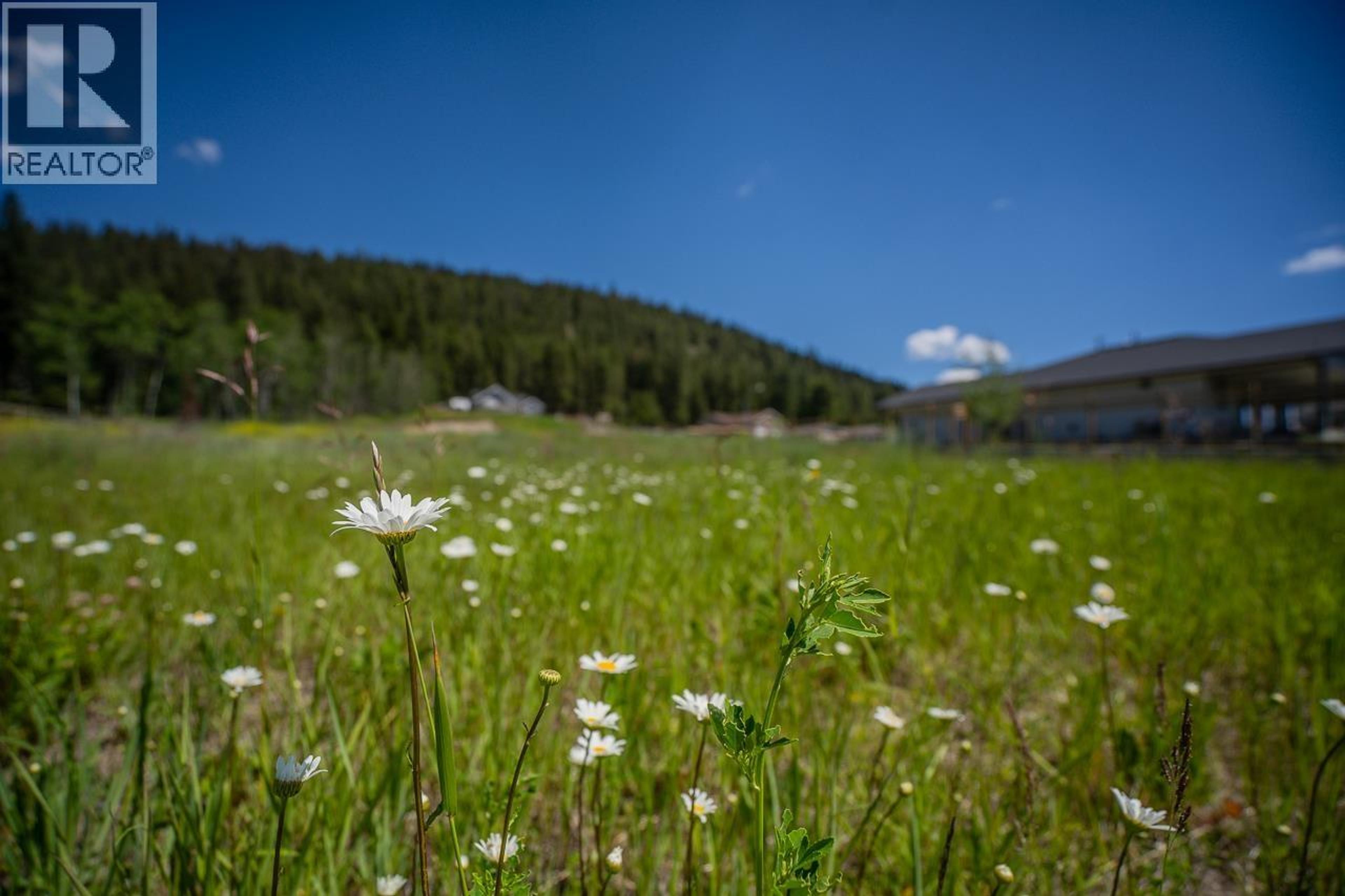 LOT 40 BLACKSTOCK ROAD - Image 10