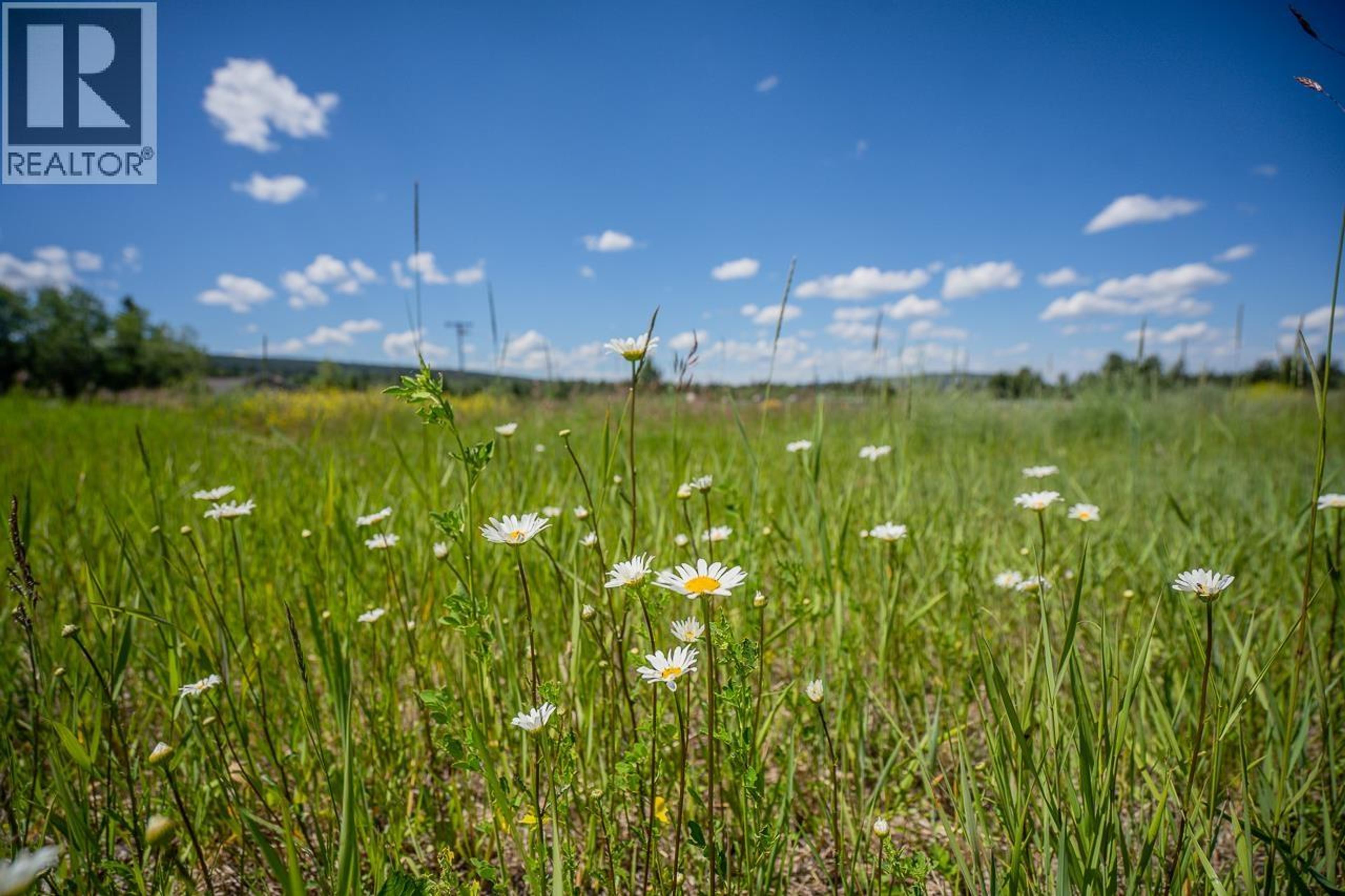 LOT 40 BLACKSTOCK ROAD - Image 3