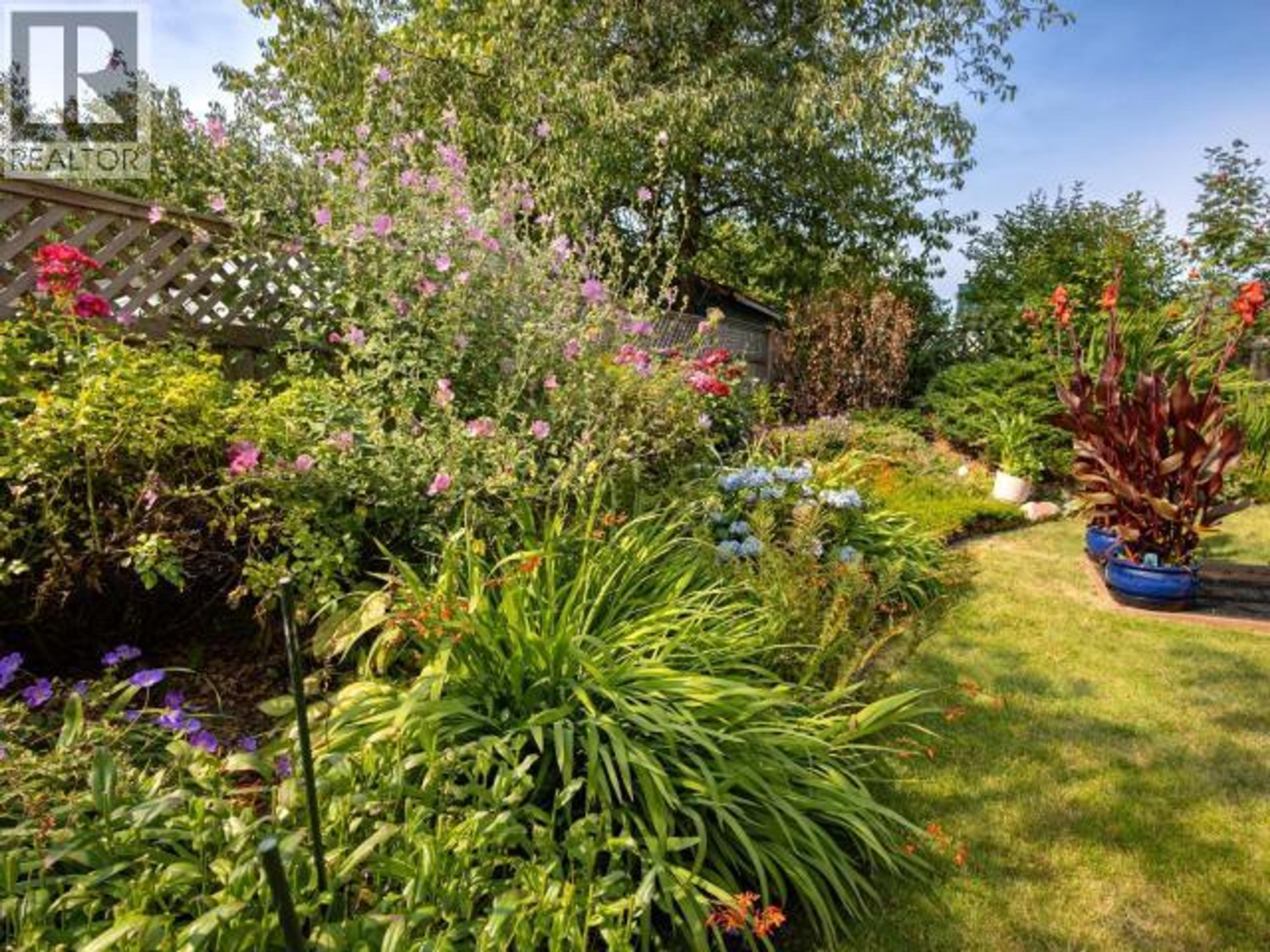 #202 4685 JOYCE AVE - 24