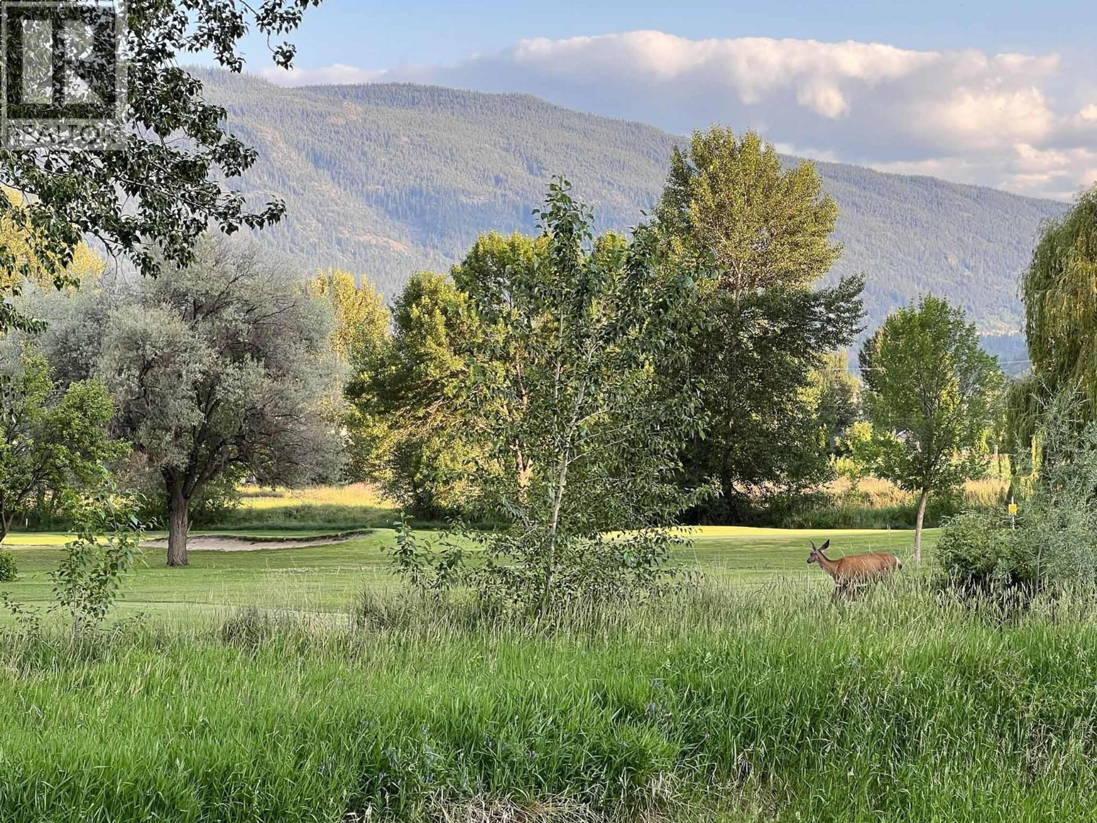 #18 1401 NICOLA AVENUE - 32