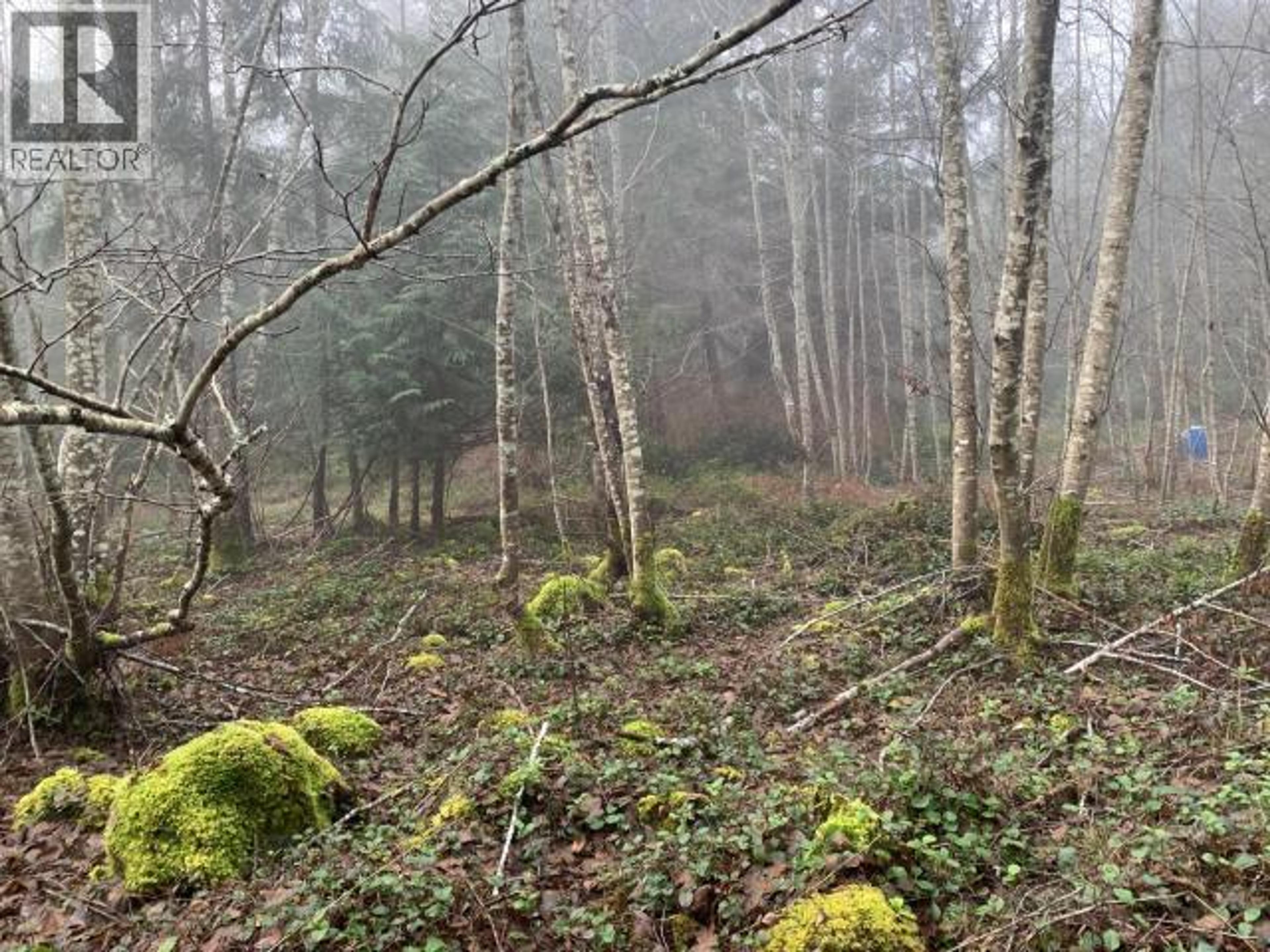 4100 FALK ROAD - Image 10