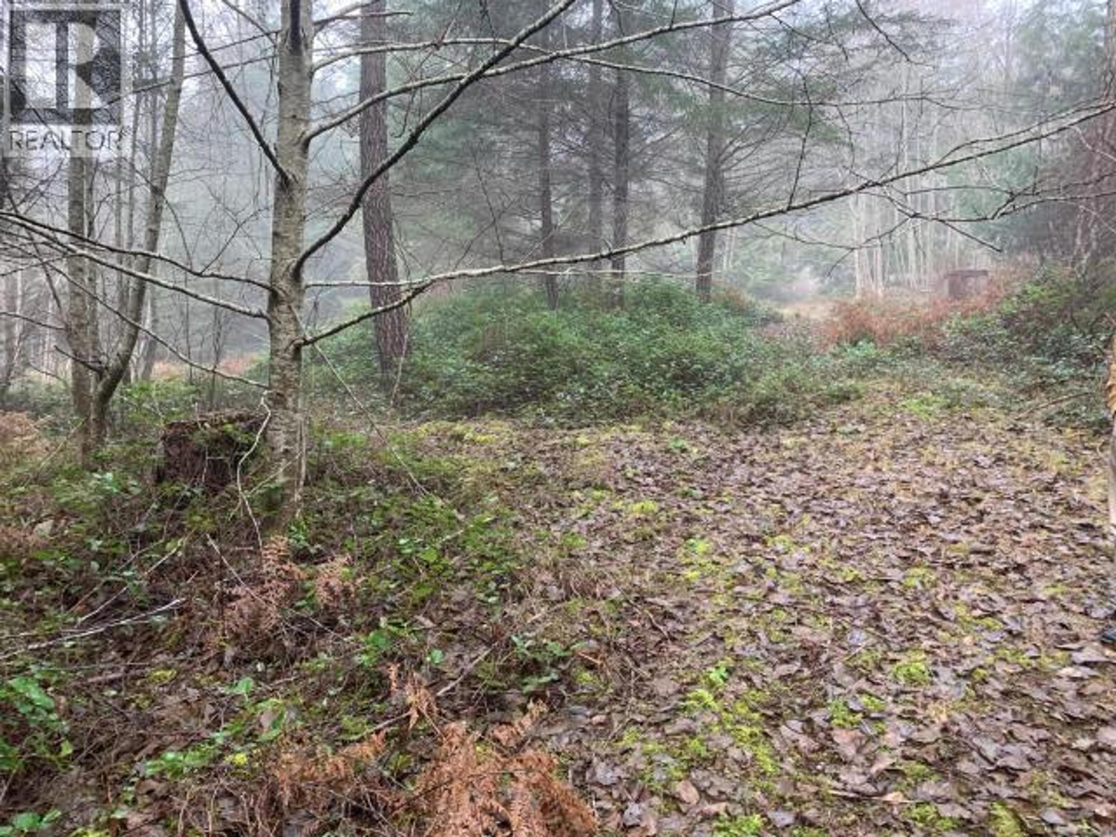 4100 FALK ROAD - Image 16