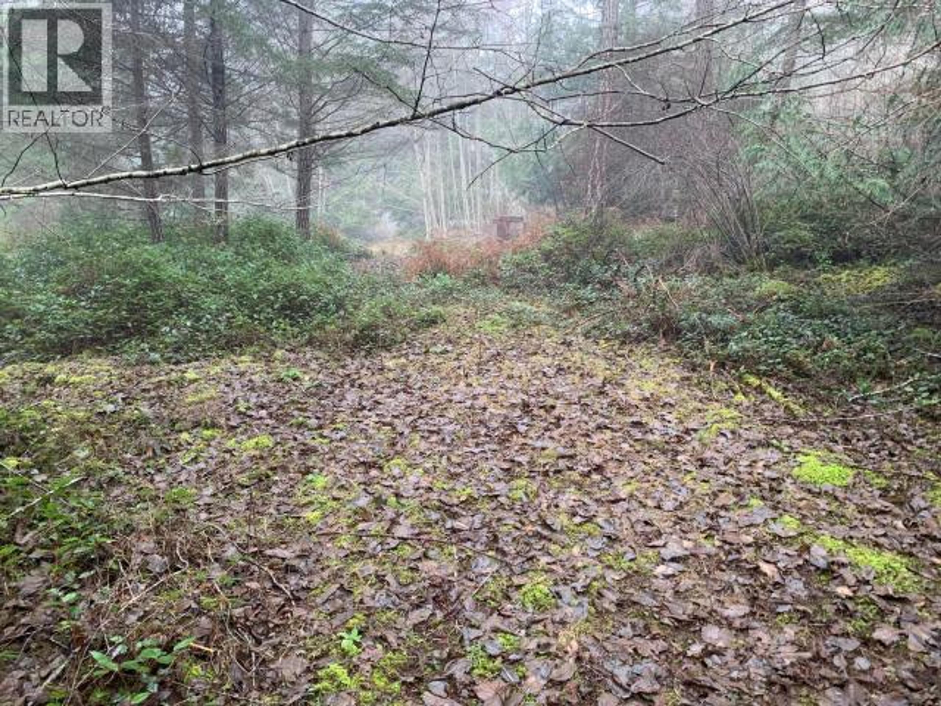 4100 FALK ROAD - Image 17