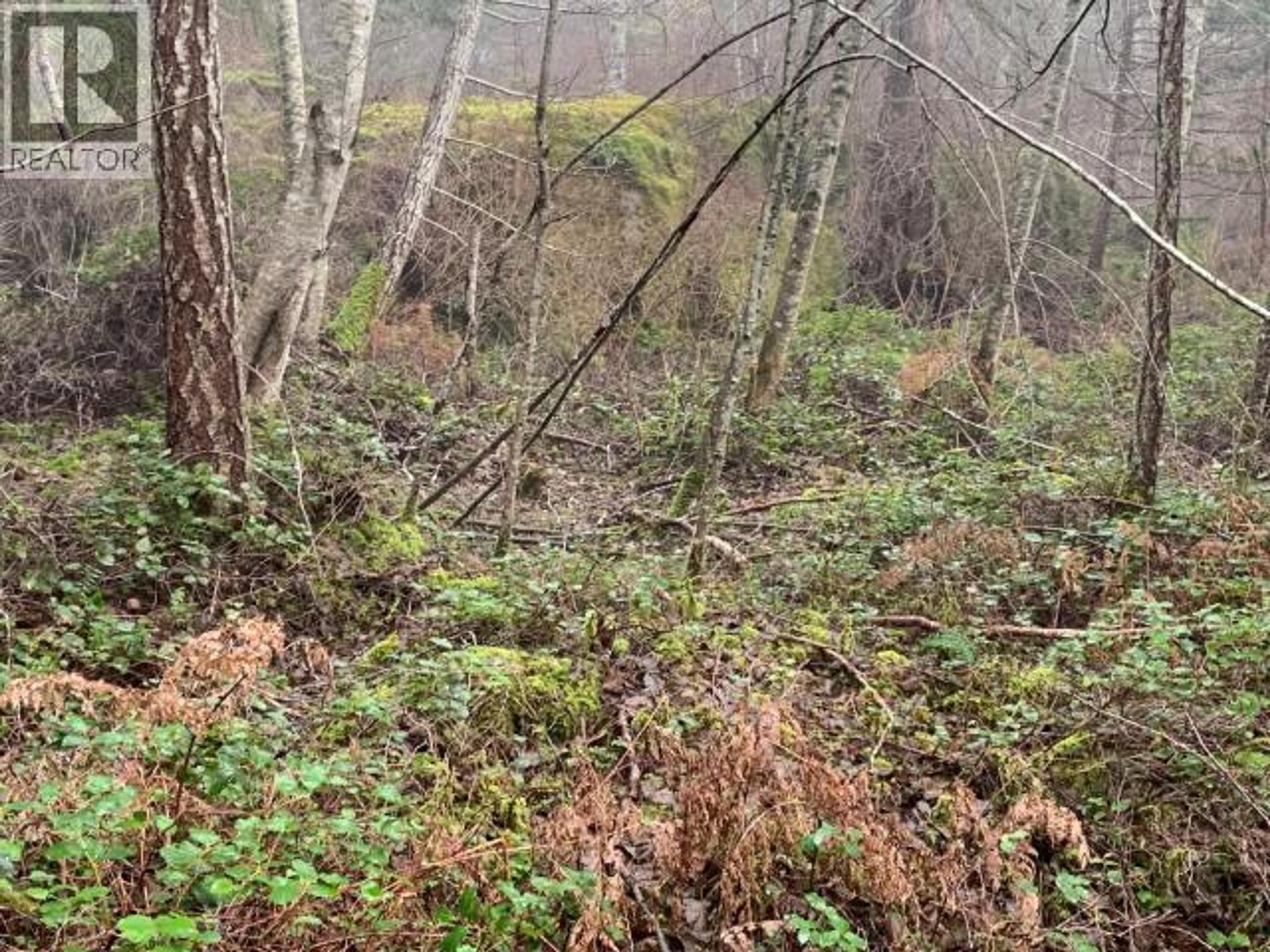 4100 FALK ROAD - Image 18