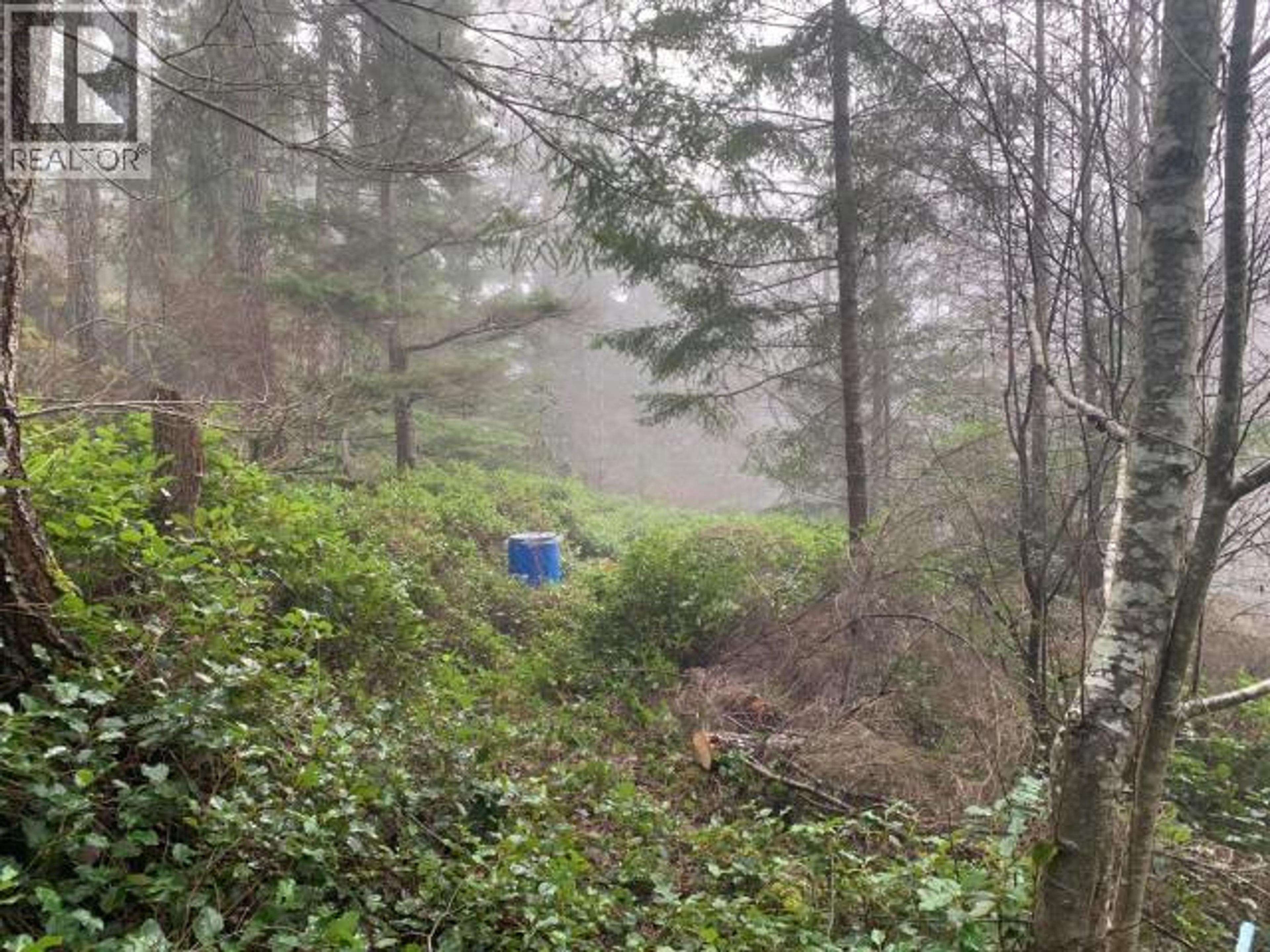 4100 FALK ROAD - Image 3