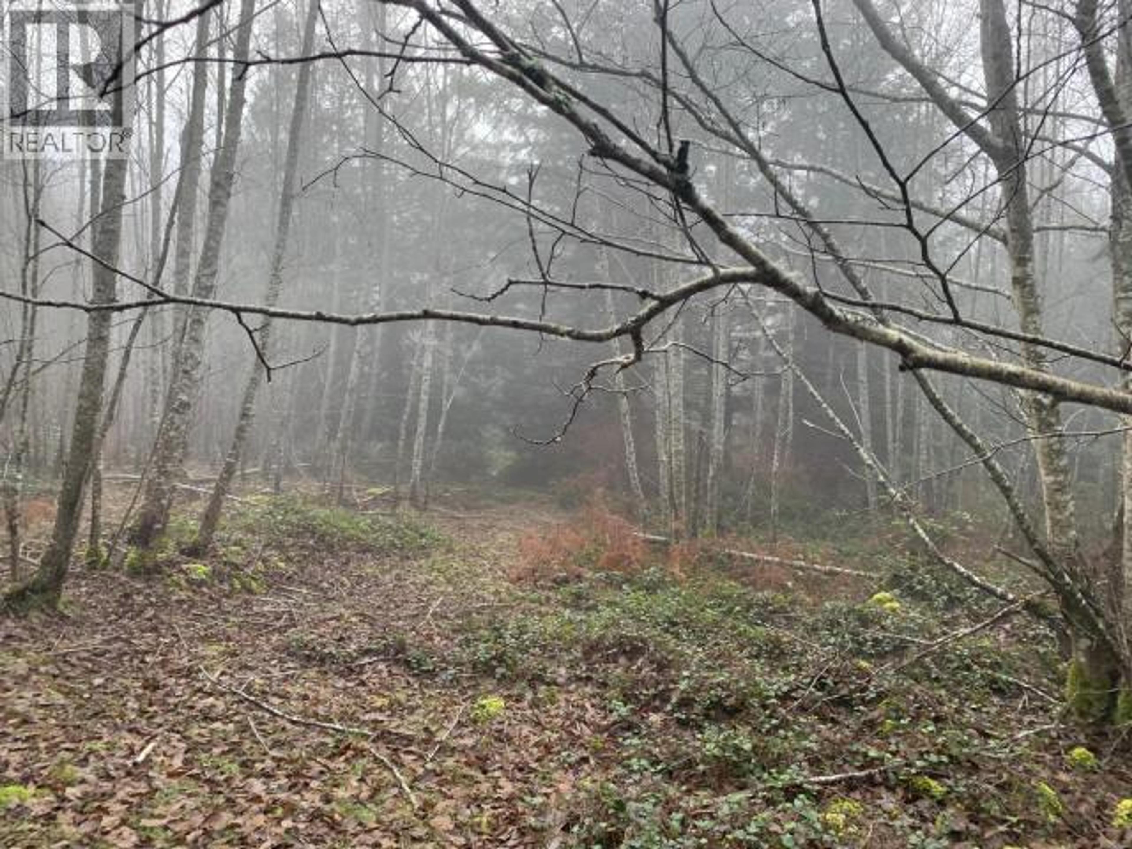 4100 FALK ROAD - Image 9