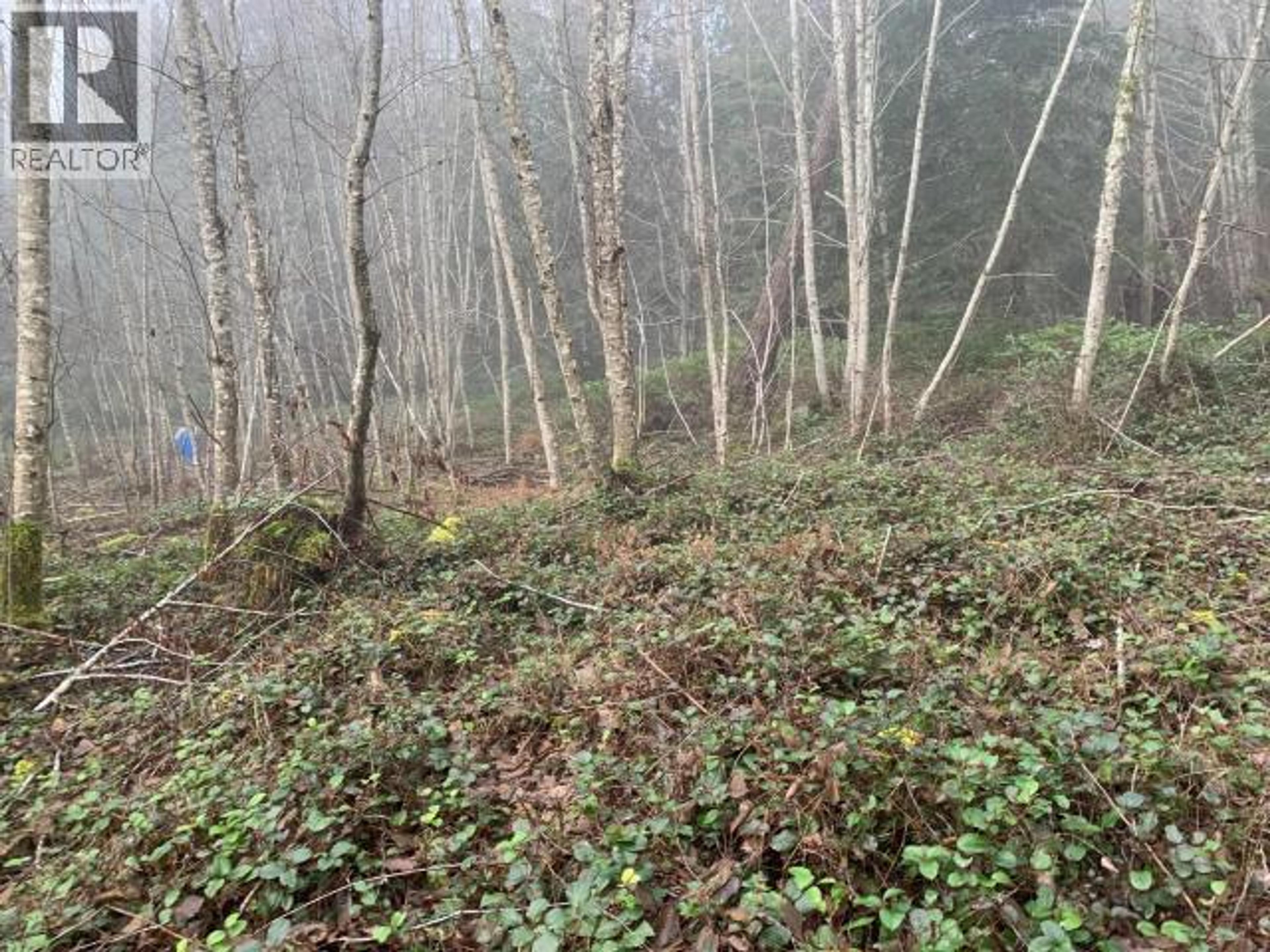 4100 FALK ROAD - Image 11