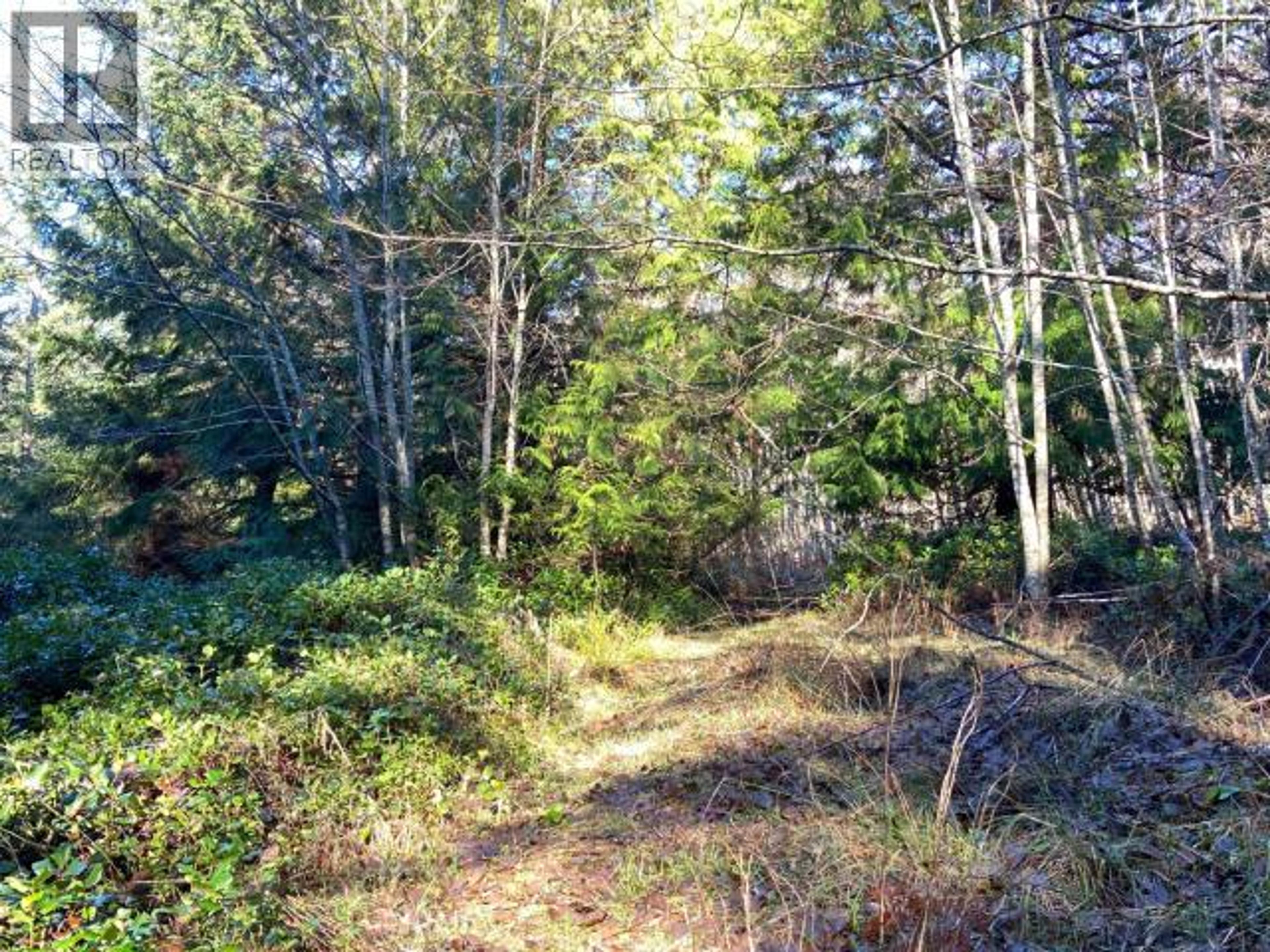 4100 FALK ROAD - Image 5