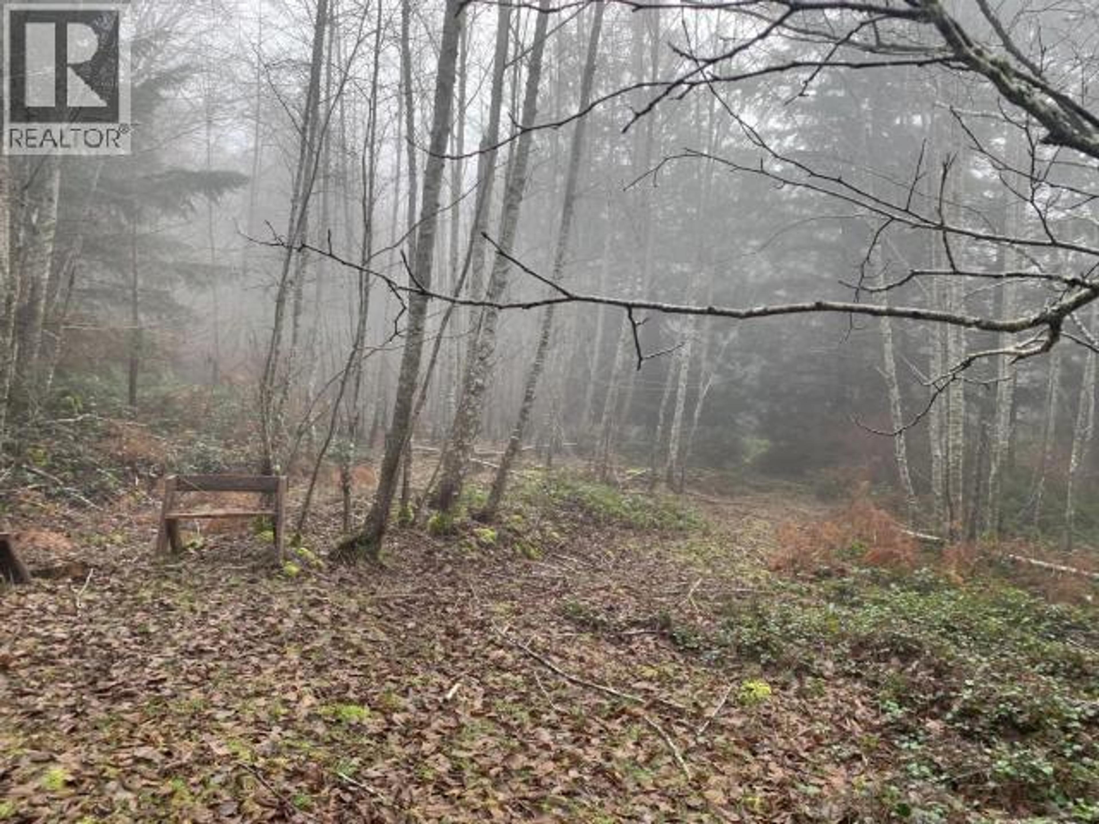 4100 FALK ROAD - Image 8