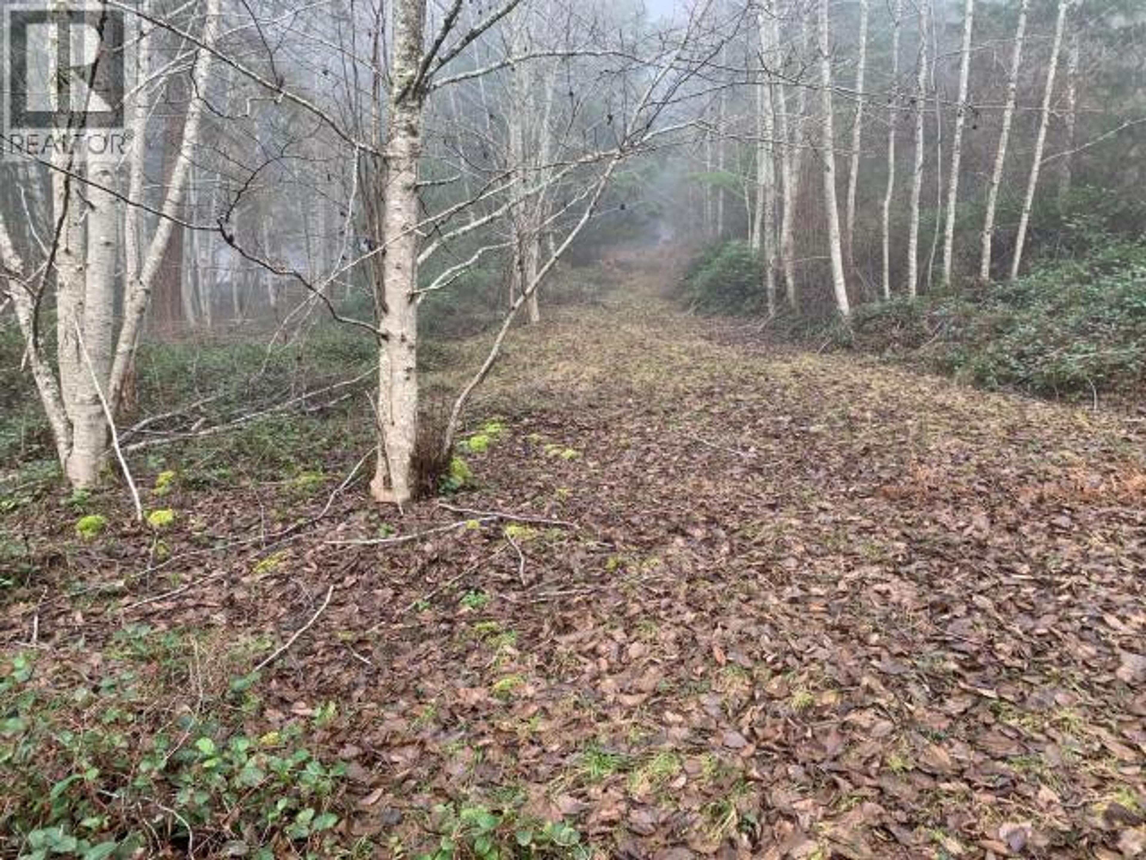 4100 FALK ROAD - Image 12