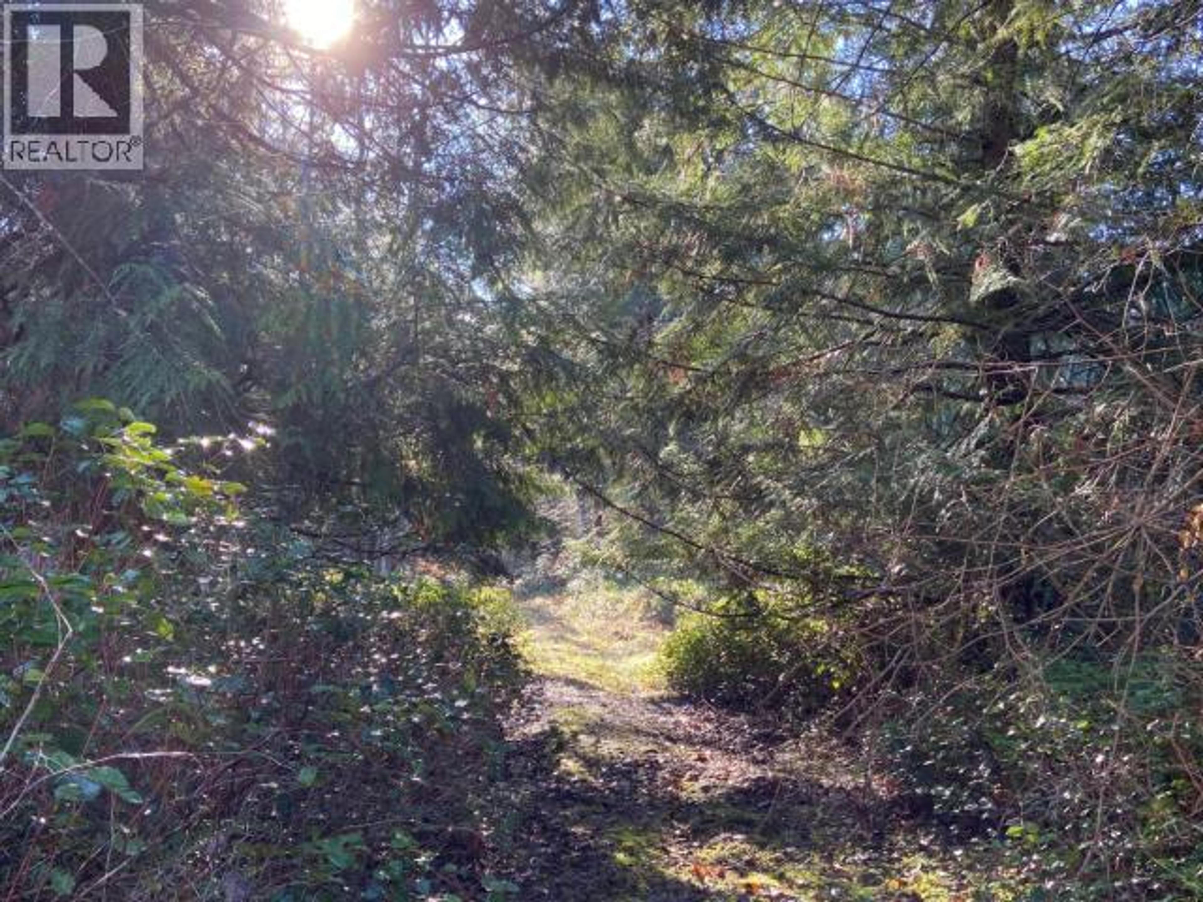 4100 FALK ROAD - Image 4