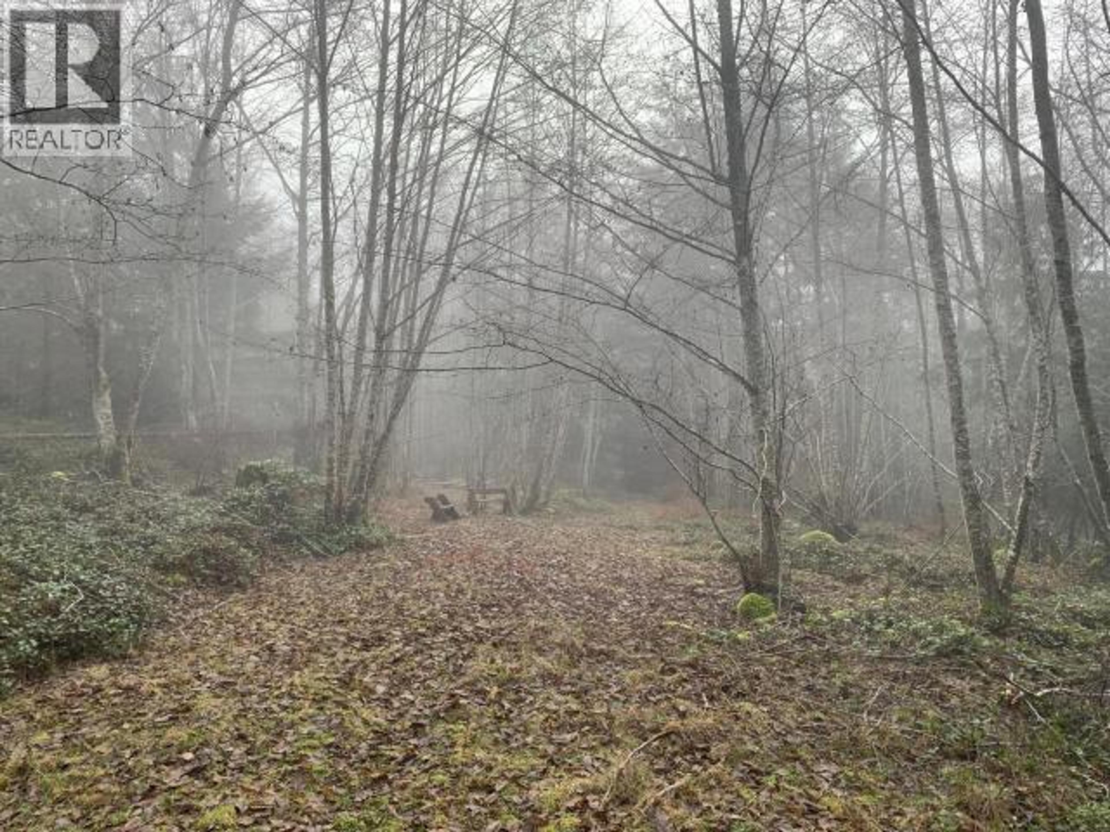 4100 FALK ROAD - Image 6