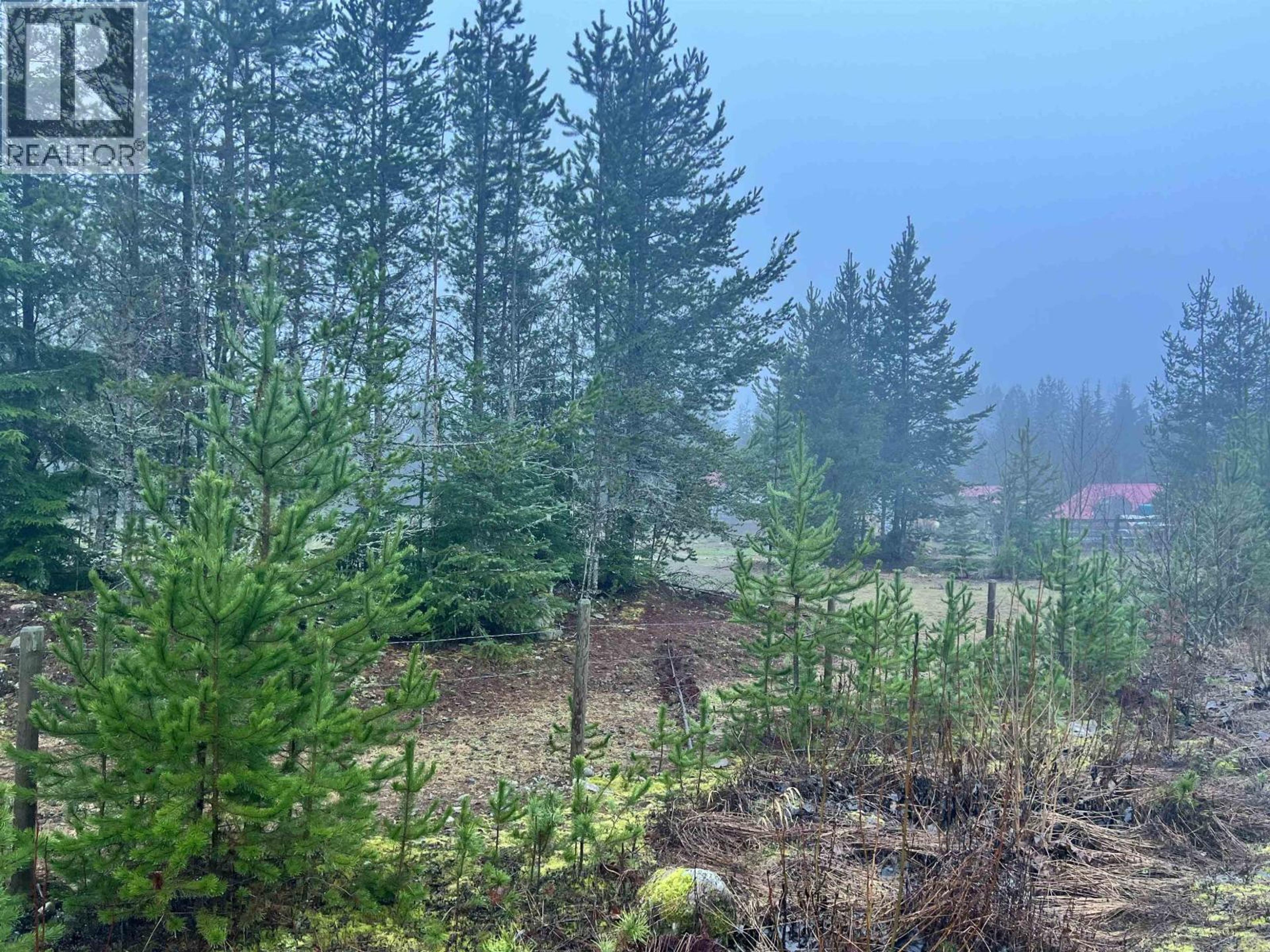 504 WILLIAMS CREEK ROAD - Image 3