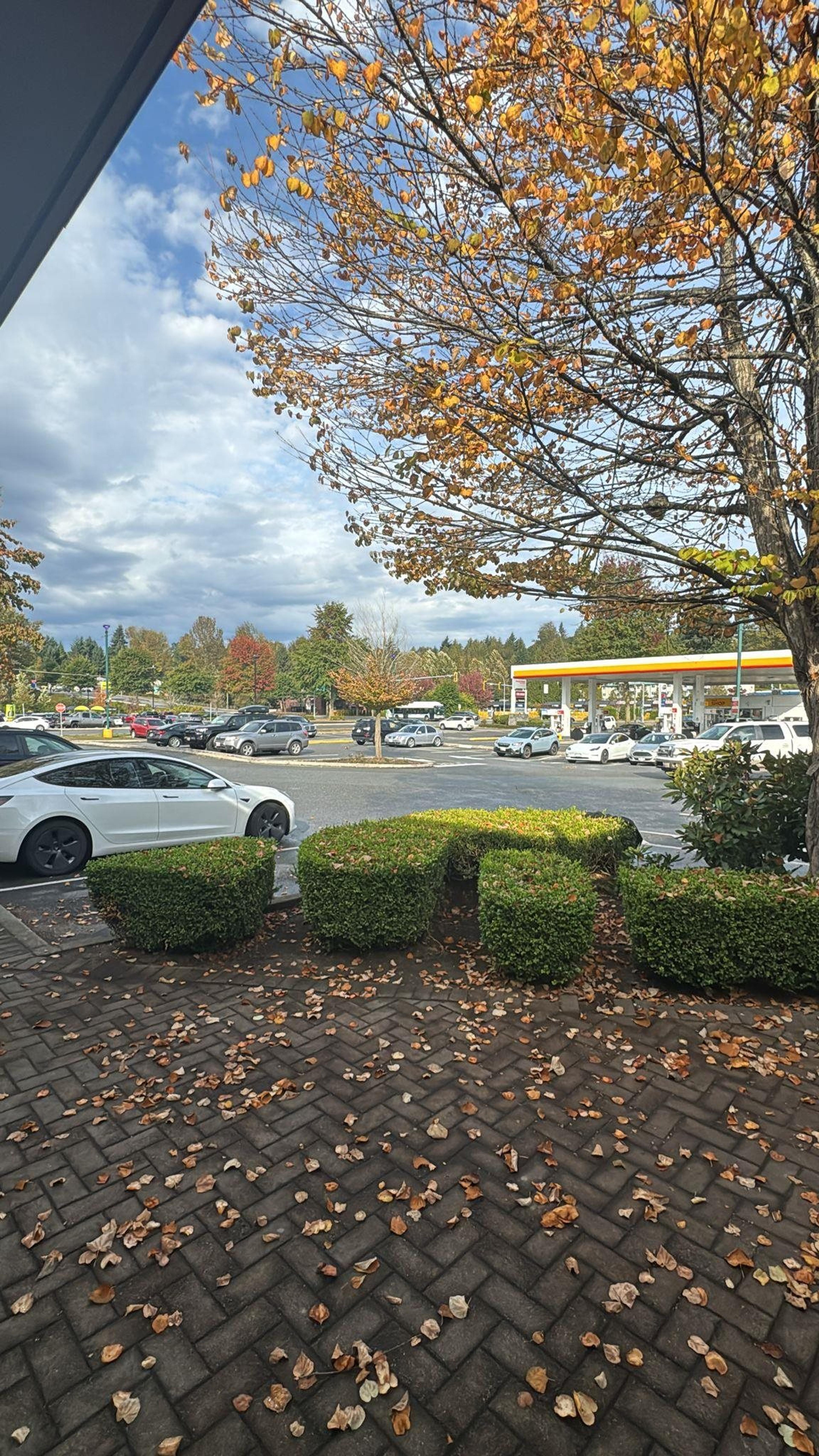 #209 32530 LOUGHEED HIGHWAY - Image 3