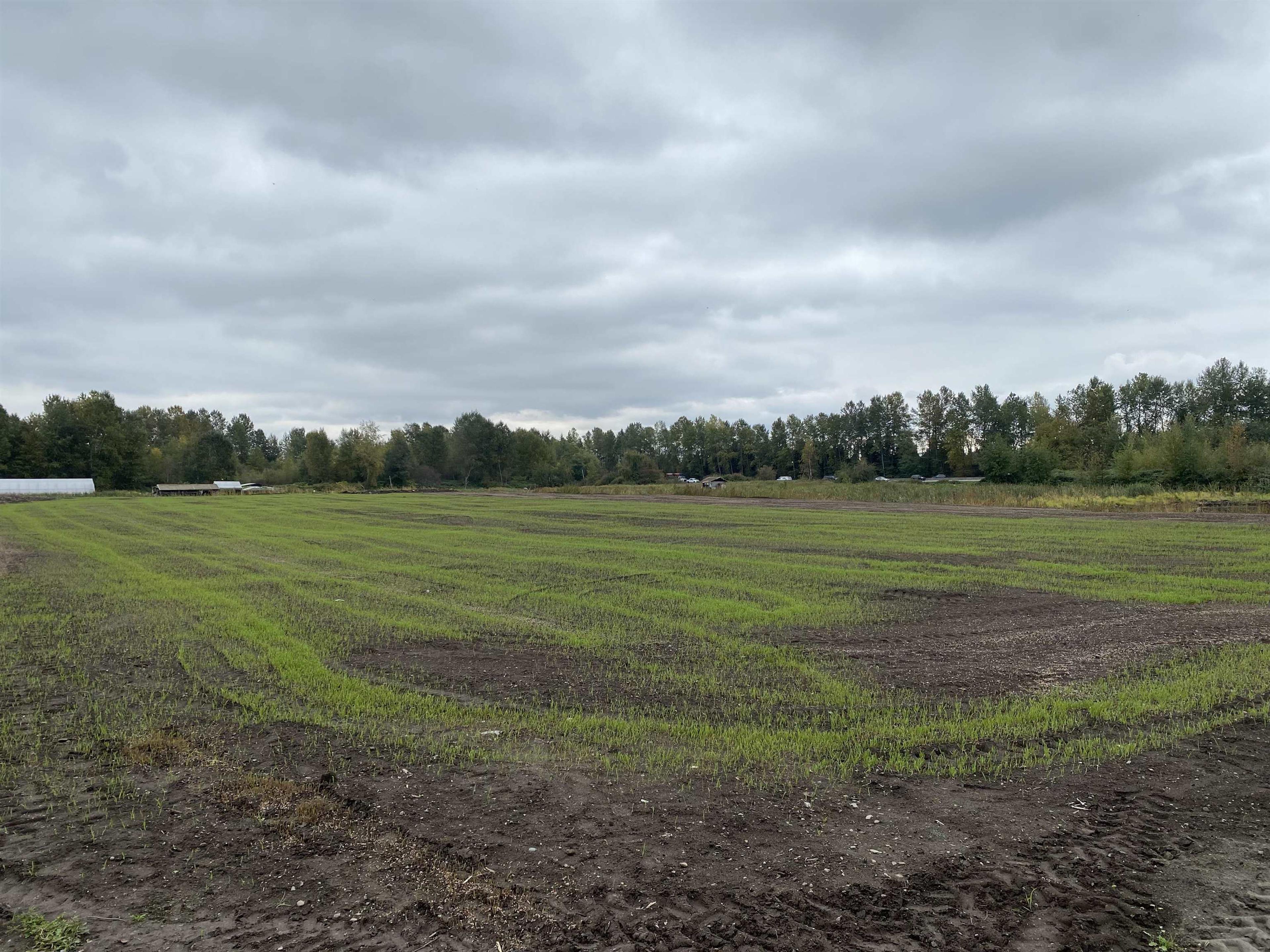 8646 MANDEVILLE AVENUE - Image 1