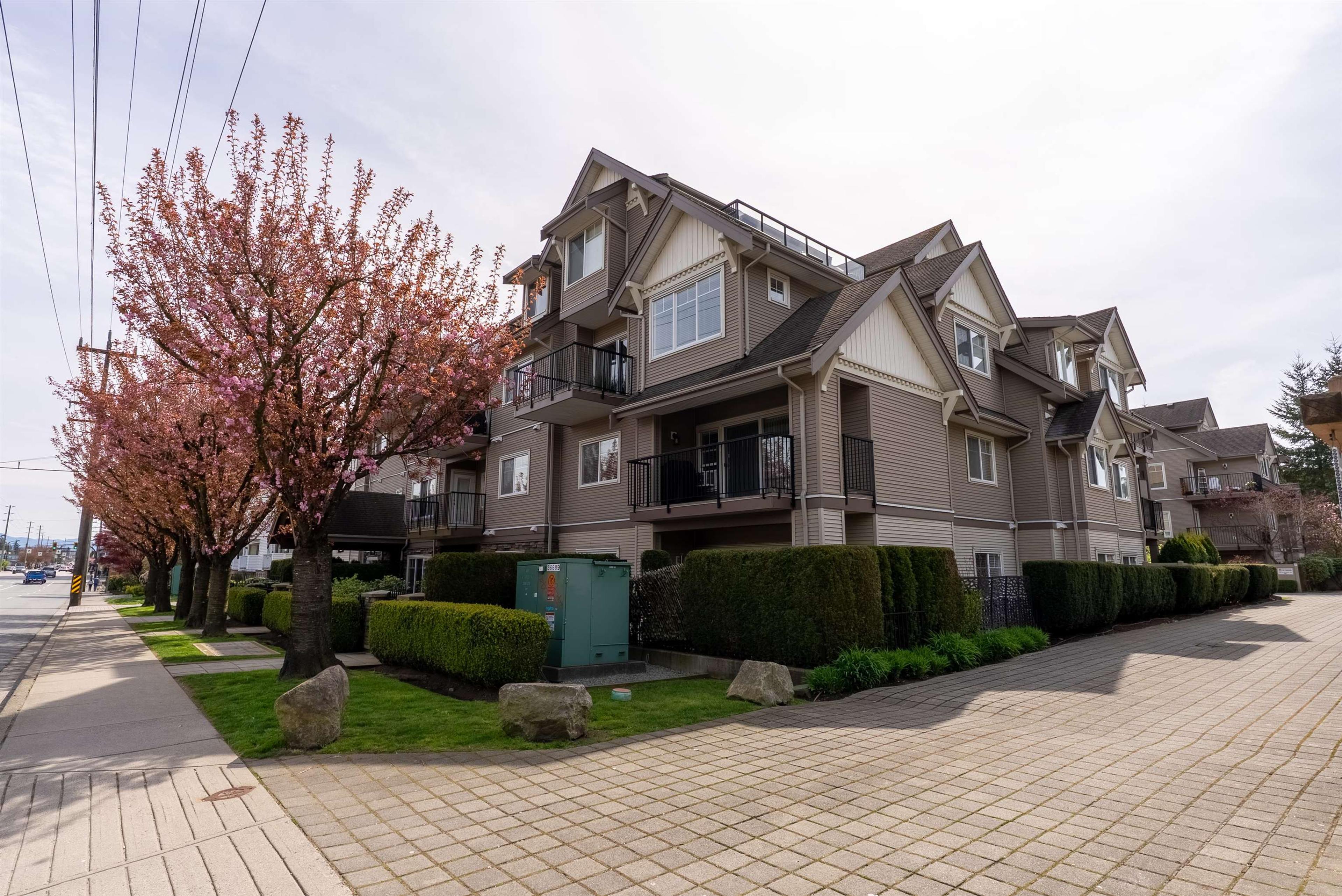 22150 Dewdney Trunk Road, Maple Ridge - Exteriors - Full Complex View - Photo 4