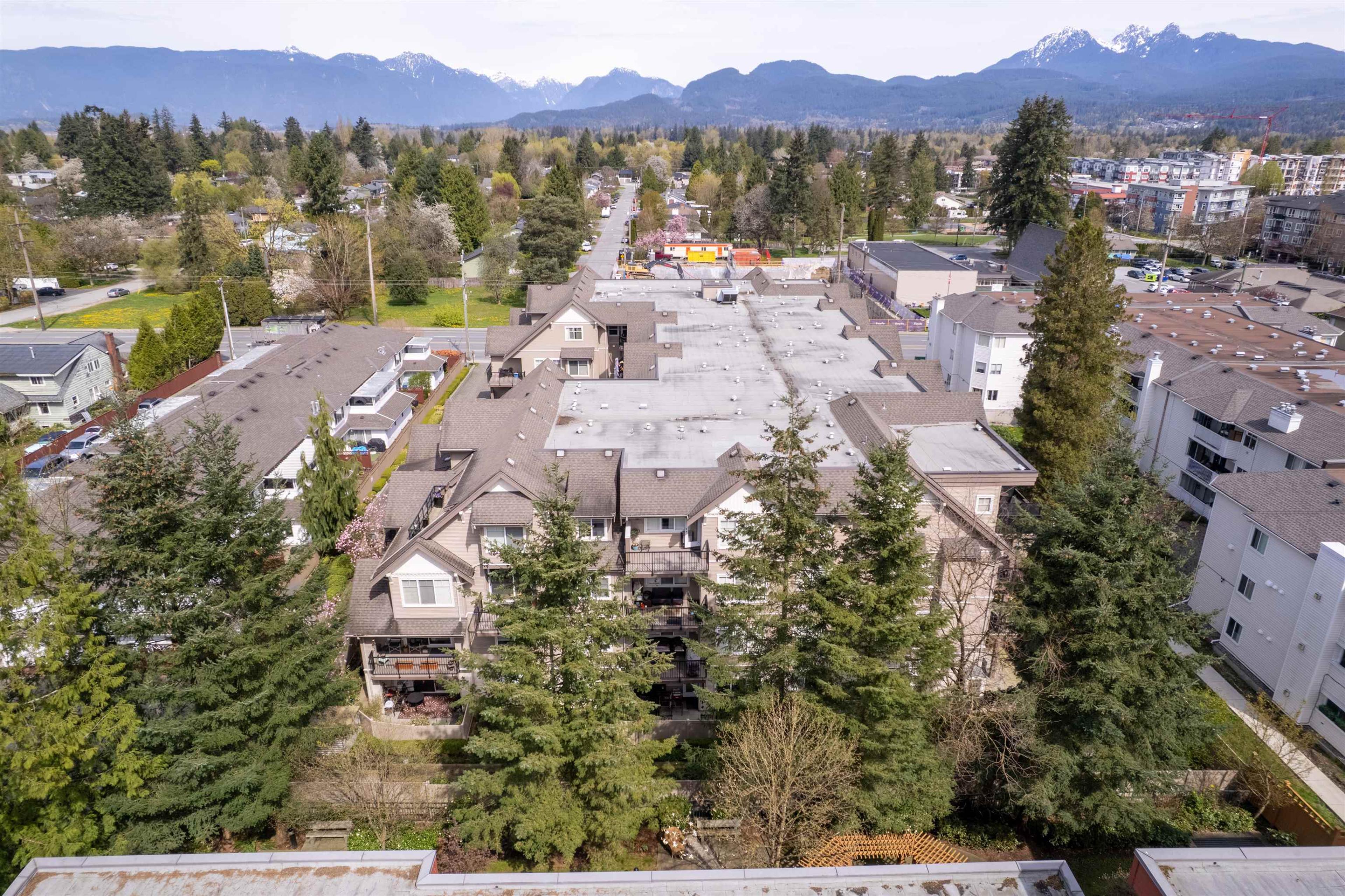 22150 Dewdney Trunk Road, Maple Ridge - Exteriors - Full Complex View, Drone/Aerial View - Photo 5