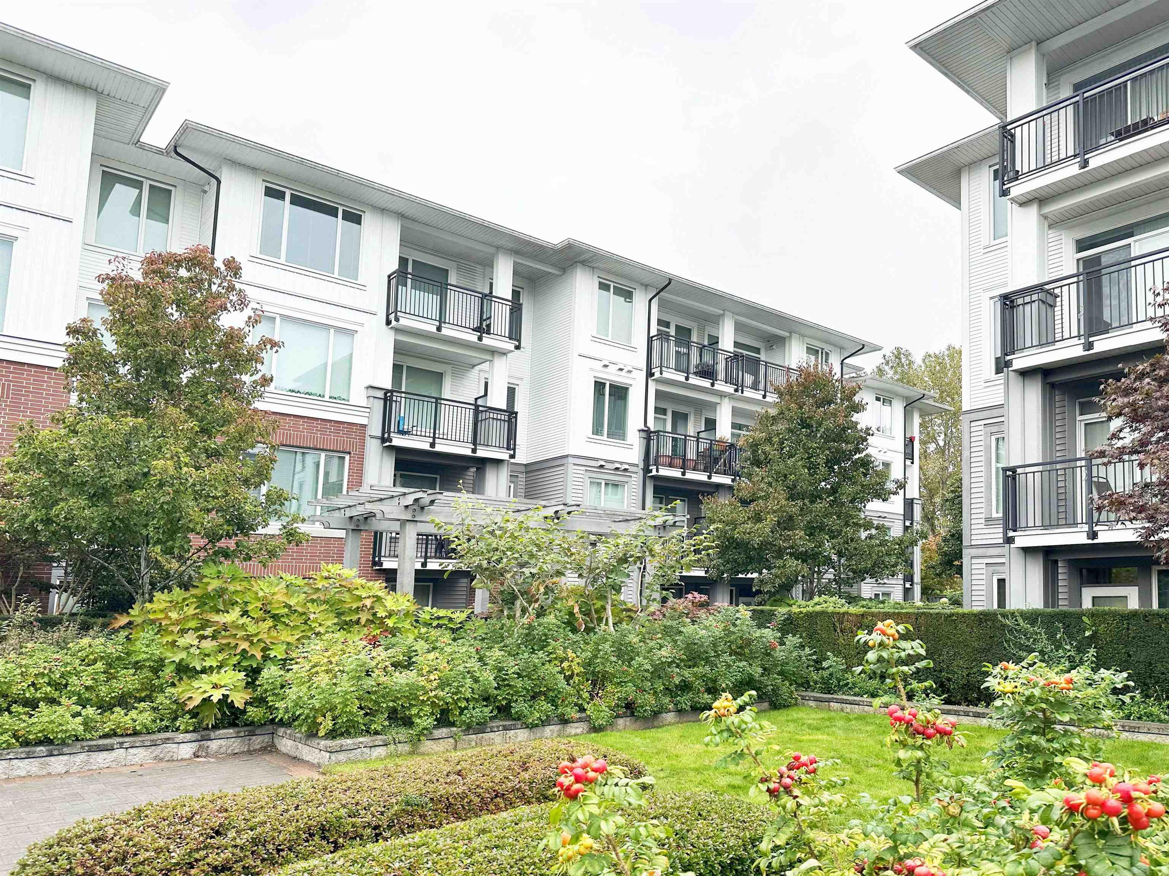 9399 Odlin Road, Richmond - Exteriors - Full Complex View - Photo 3