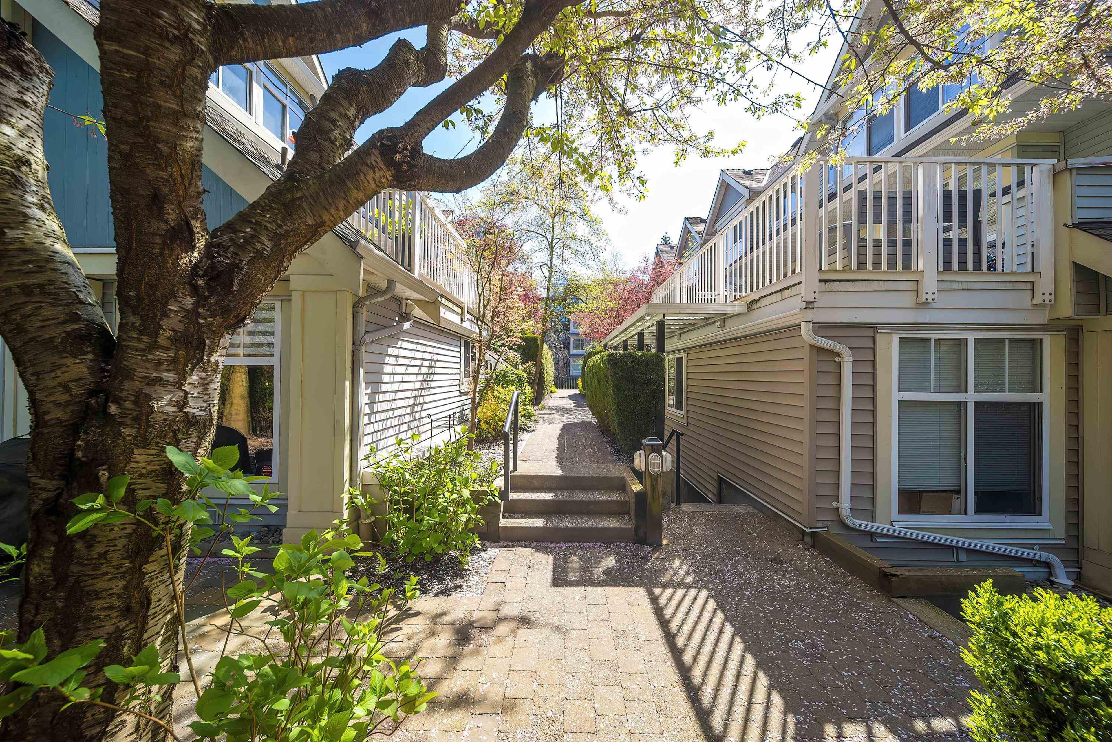 7128 Stride Avenue, Burnaby - Exteriors - Full Complex View - Photo 4