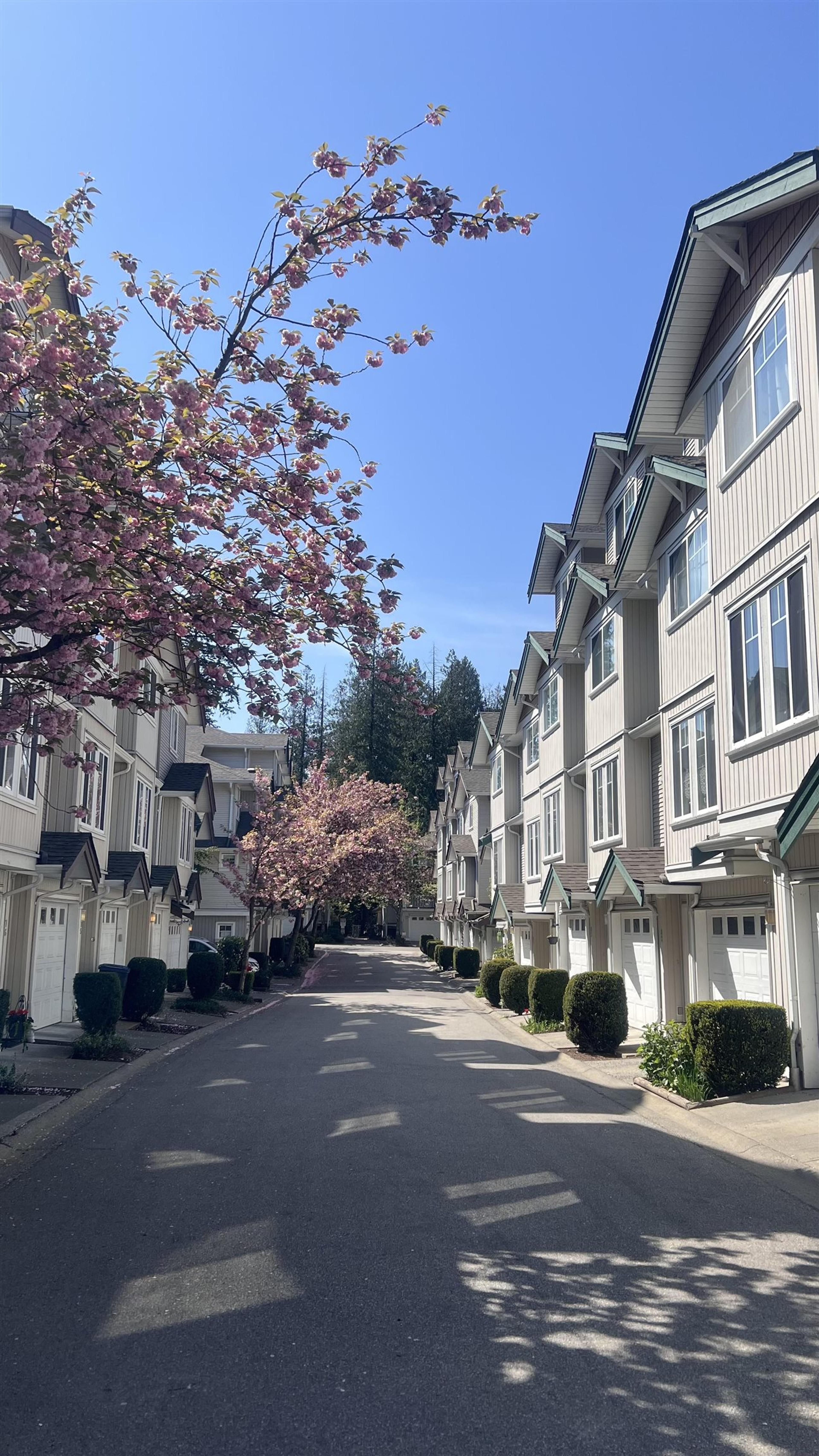 12711 64 Avenue, Surrey - Exteriors - Full Complex View - Photo 2