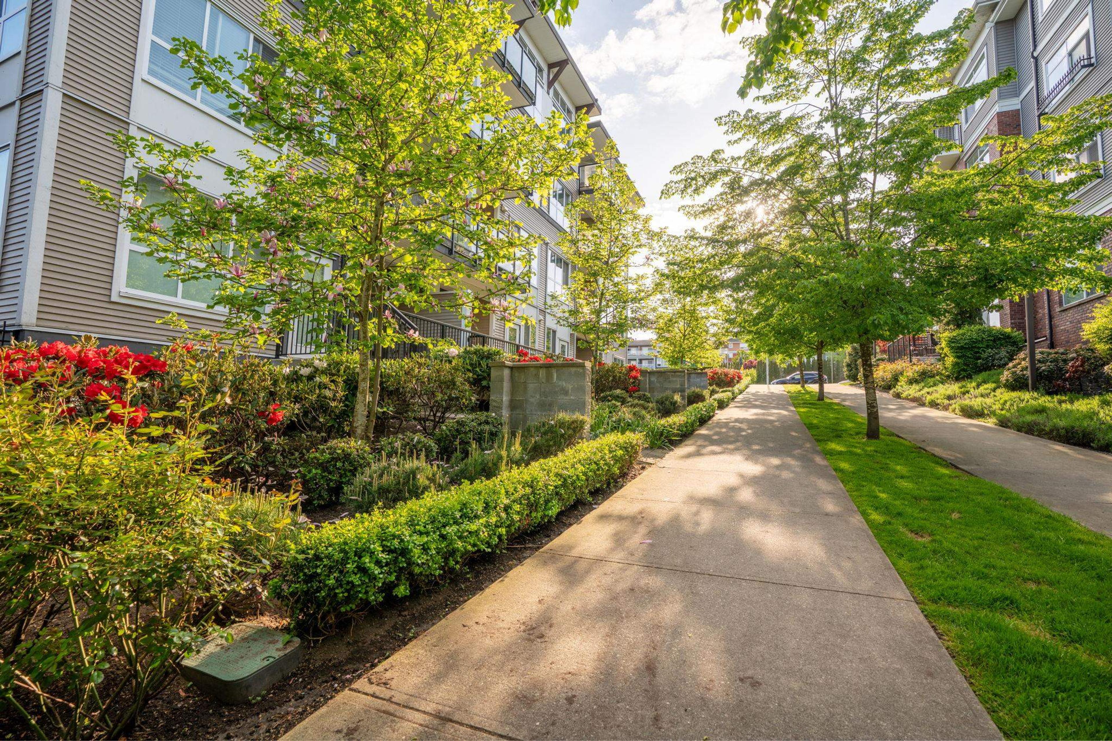 6468 195a Street, Surrey - Exteriors - Full Complex View - Photo 3