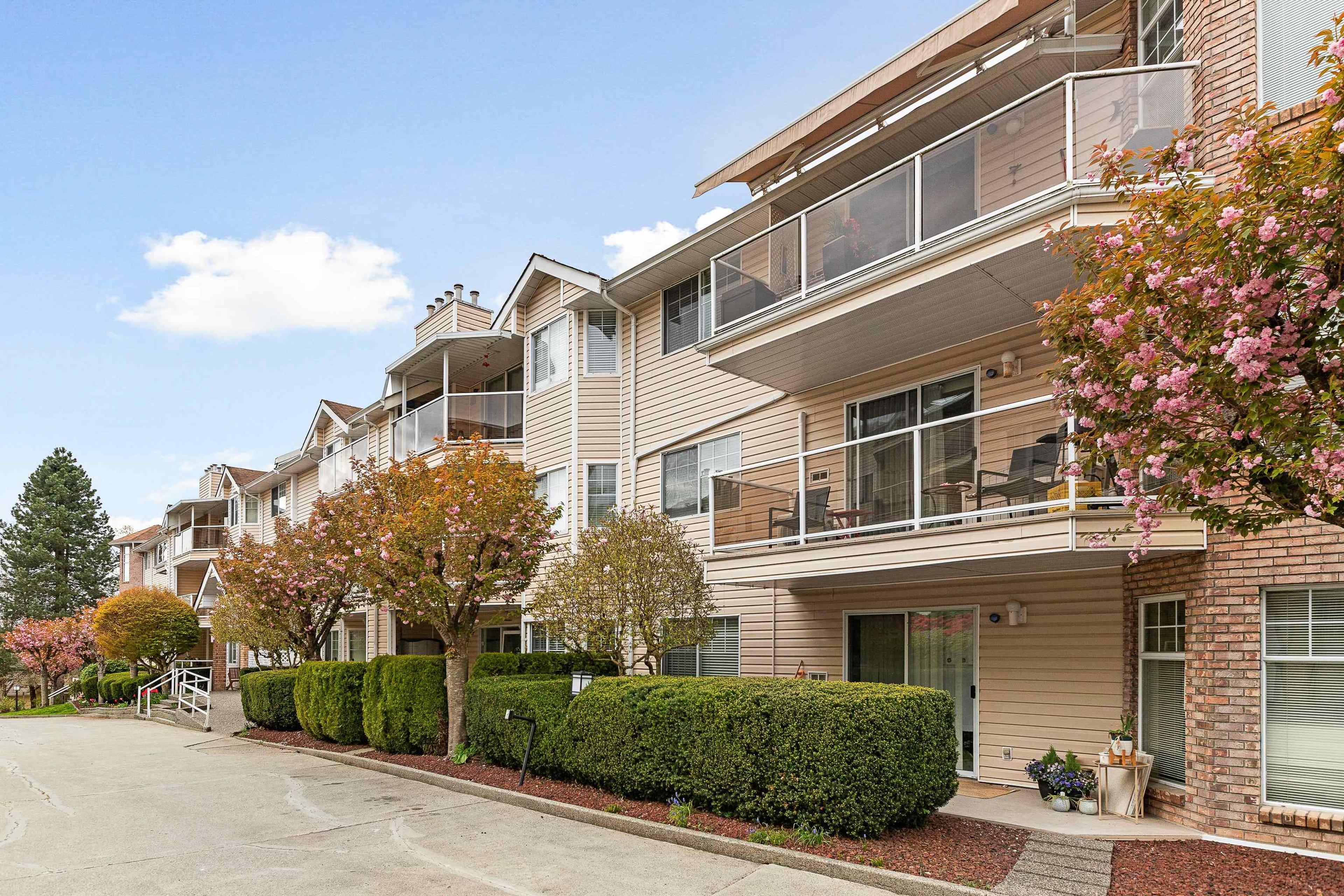 22611 116 Avenue, Maple Ridge - Exteriors - Full Complex View - Photo 2