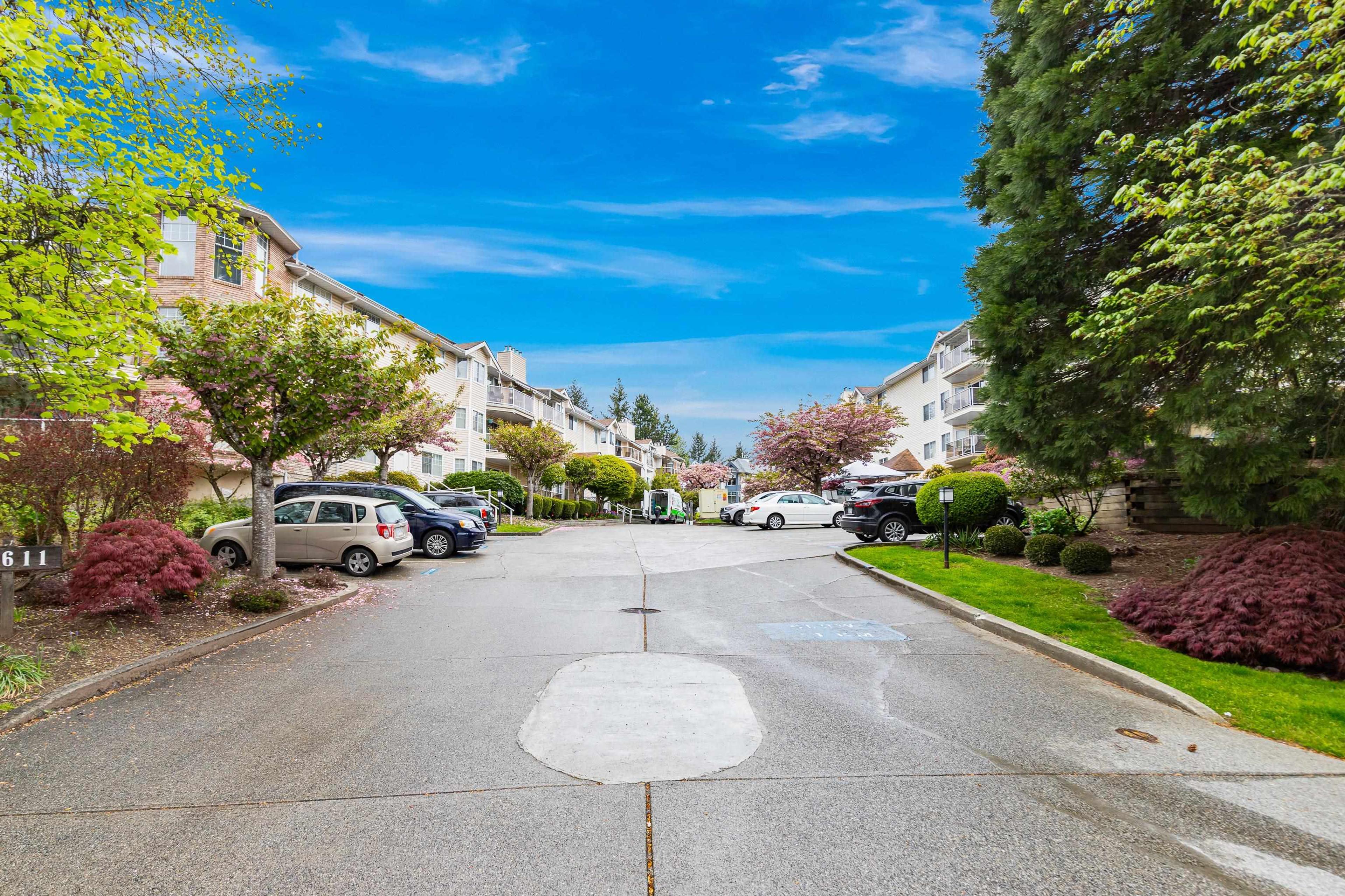 22611 116 Avenue, Maple Ridge - Exteriors - Full Complex View - Photo 6