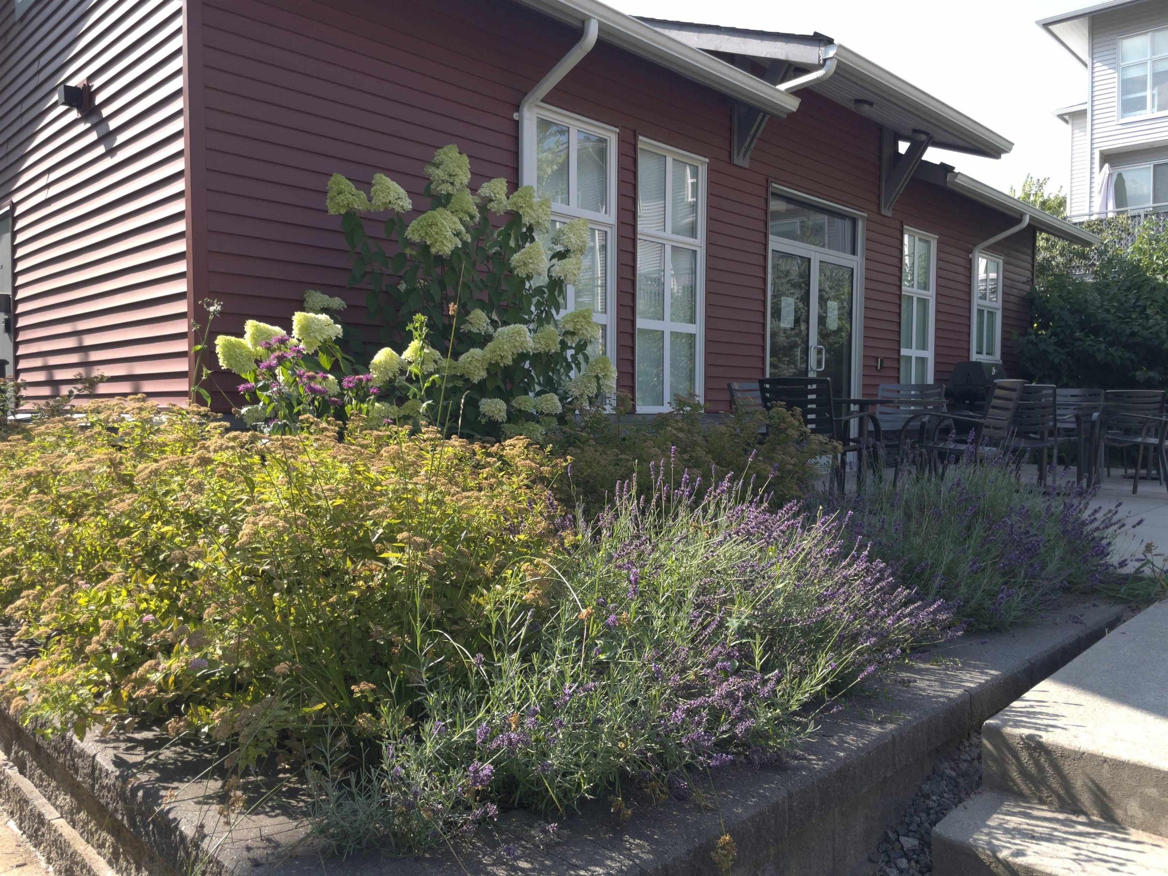 24076 112 Avenue, Maple Ridge - Exteriors - Photo 2