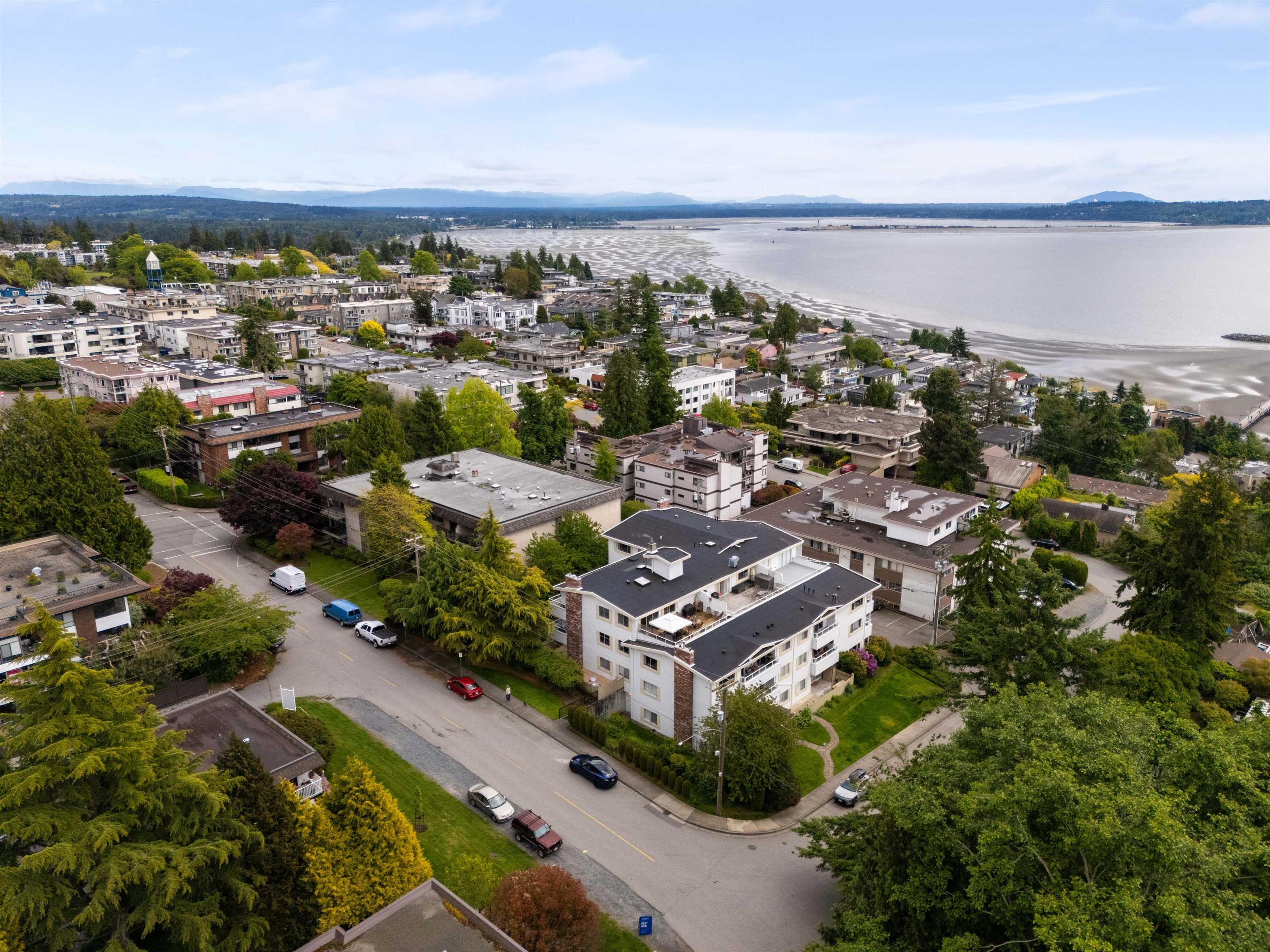 15010 Roper Avenue, White Rock - Exteriors - Full Complex View, Drone/Aerial View - Photo 3