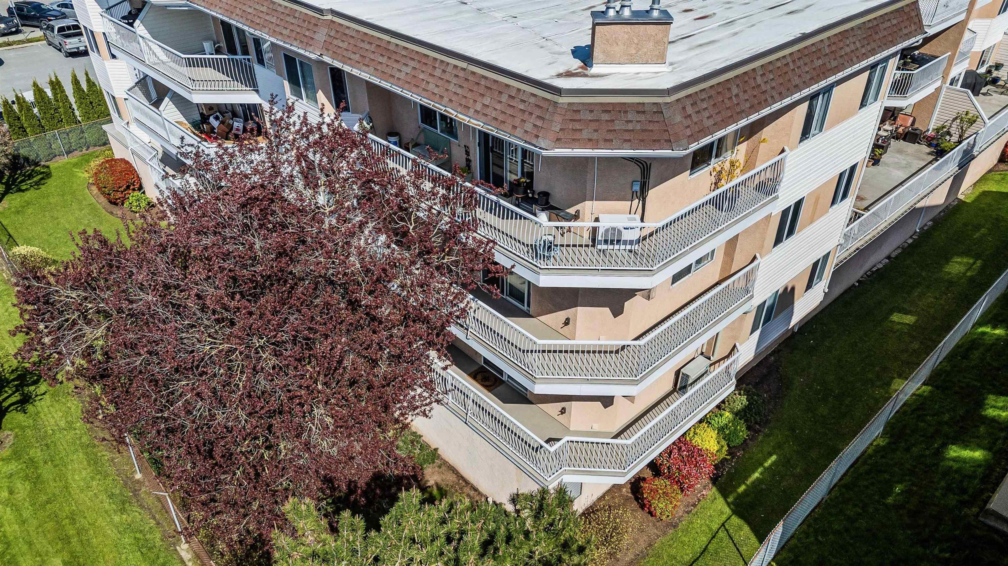 8985 Mary Street, Chilliwack - Exteriors - Drone/Aerial View - Photo 1