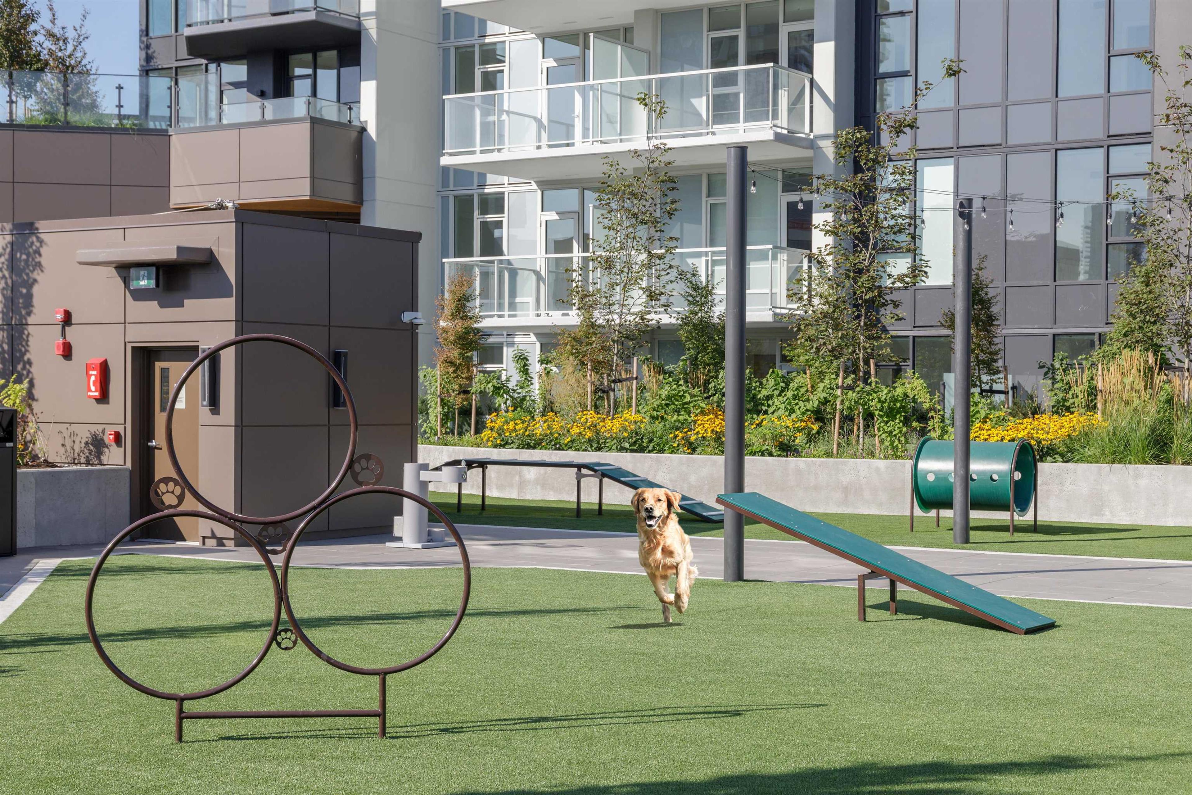 2108 Gilmore Avenue, Burnaby - Outdoor Amenities - Garden / Yard/ Backyard/ Porch/ Deck - Photo 1