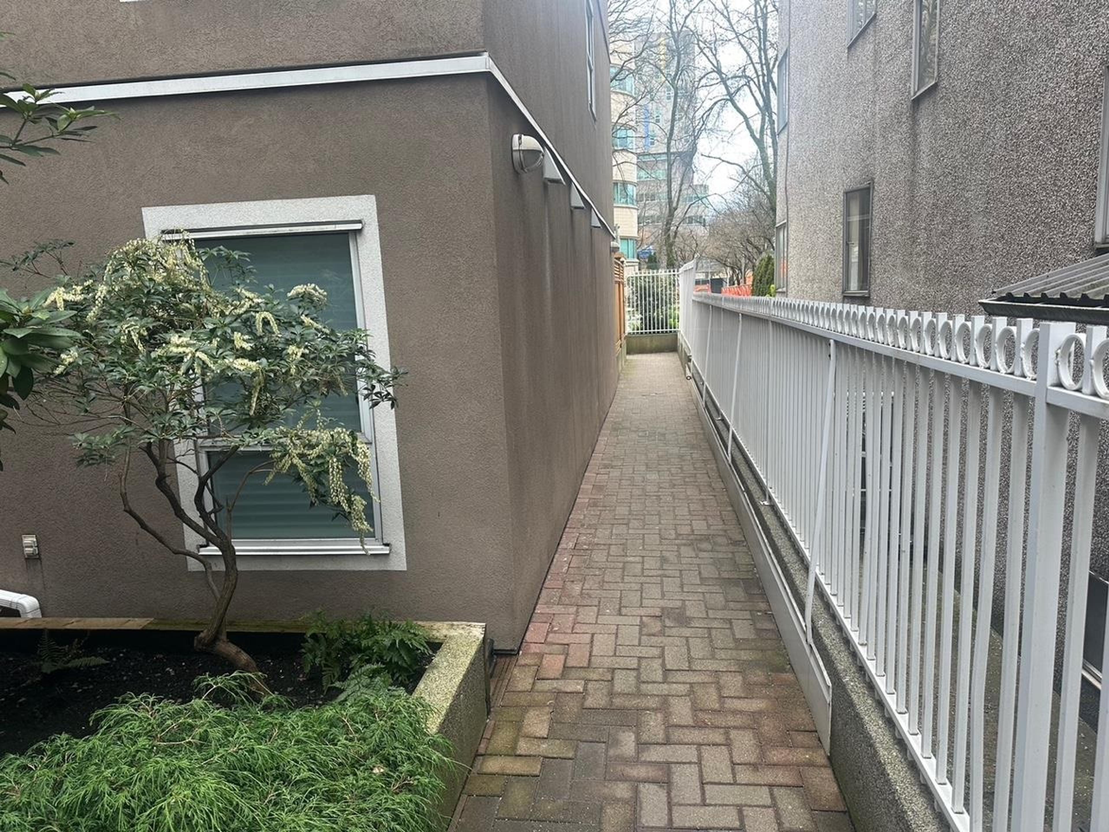 985 W 10th Avenue, Vancouver - Exteriors - Photo 6