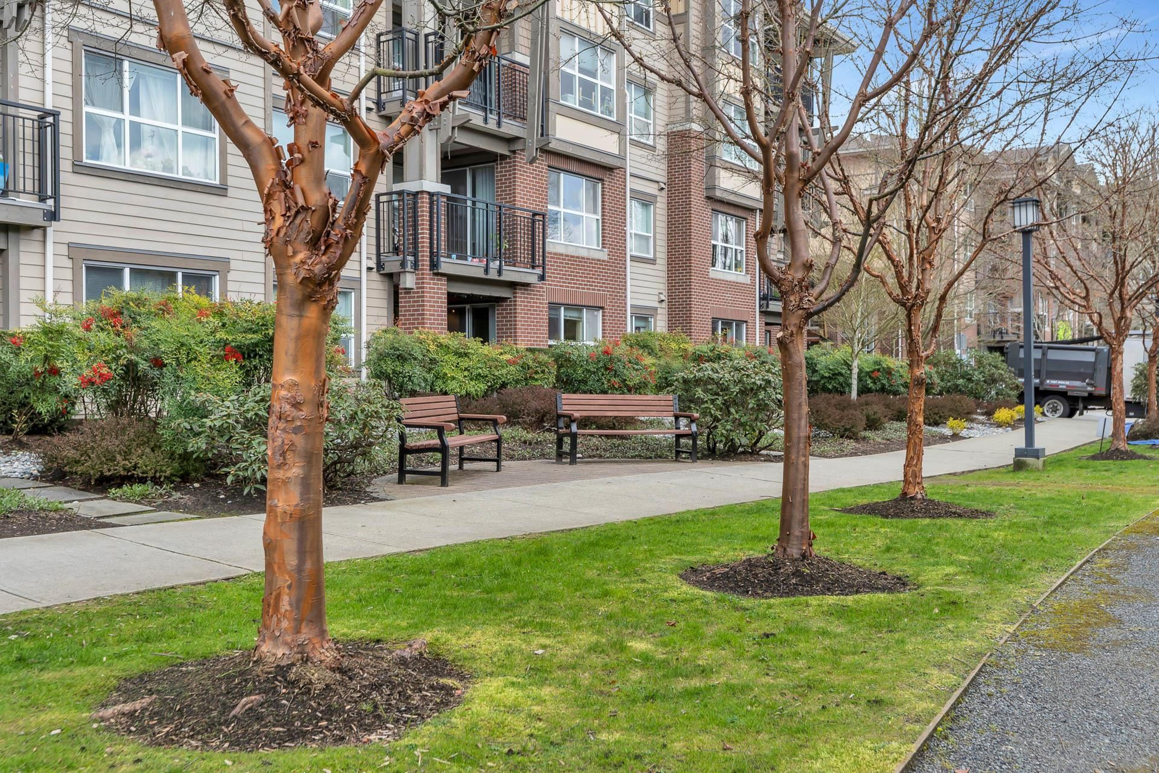 5881 Irmin Street, Burnaby - Exteriors - Photo 4