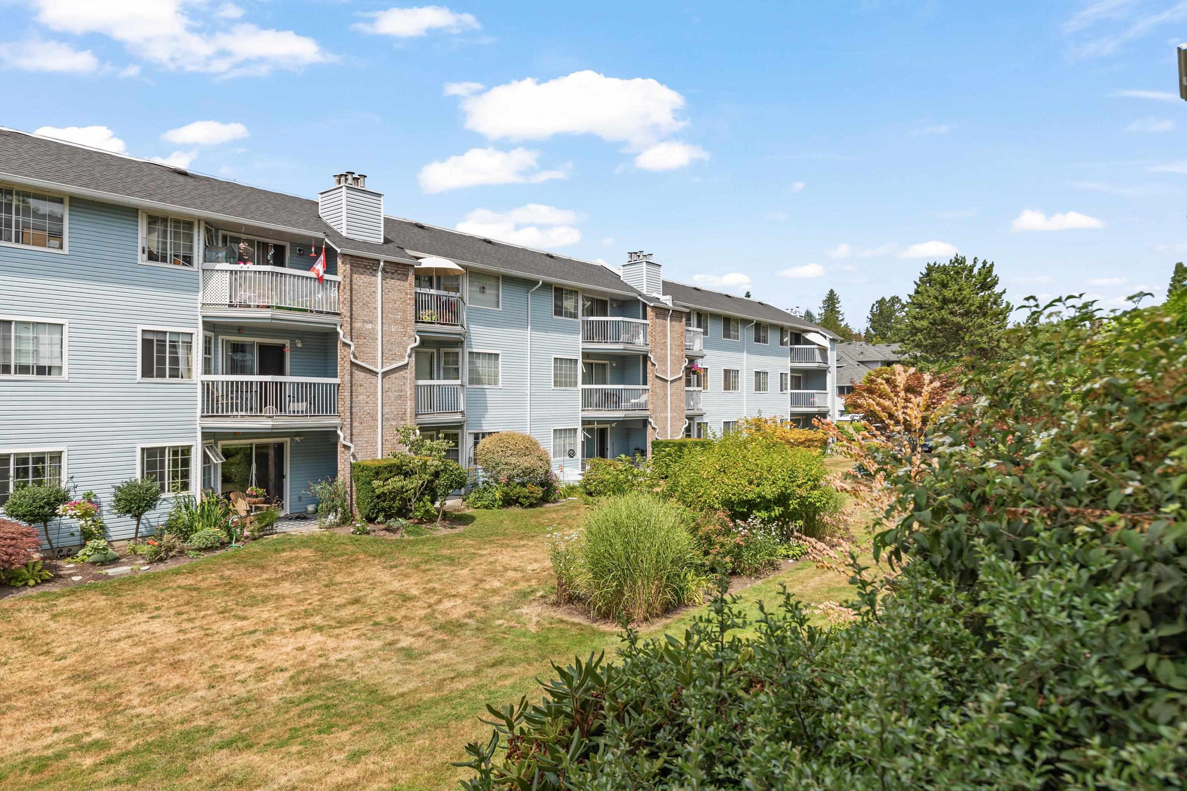 22514 116 Avenue, Maple Ridge - Exteriors - Full Complex View - Photo 3