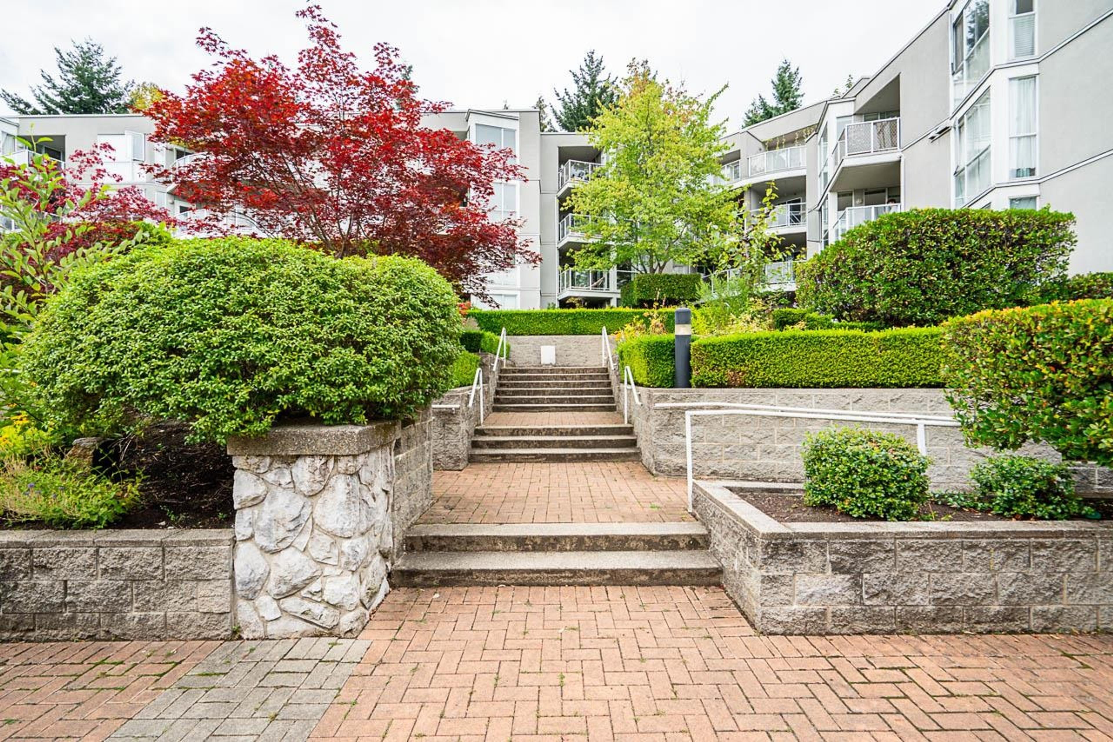8460 Jellicoe Street, Vancouver - Exteriors - Full Complex View - Photo 3