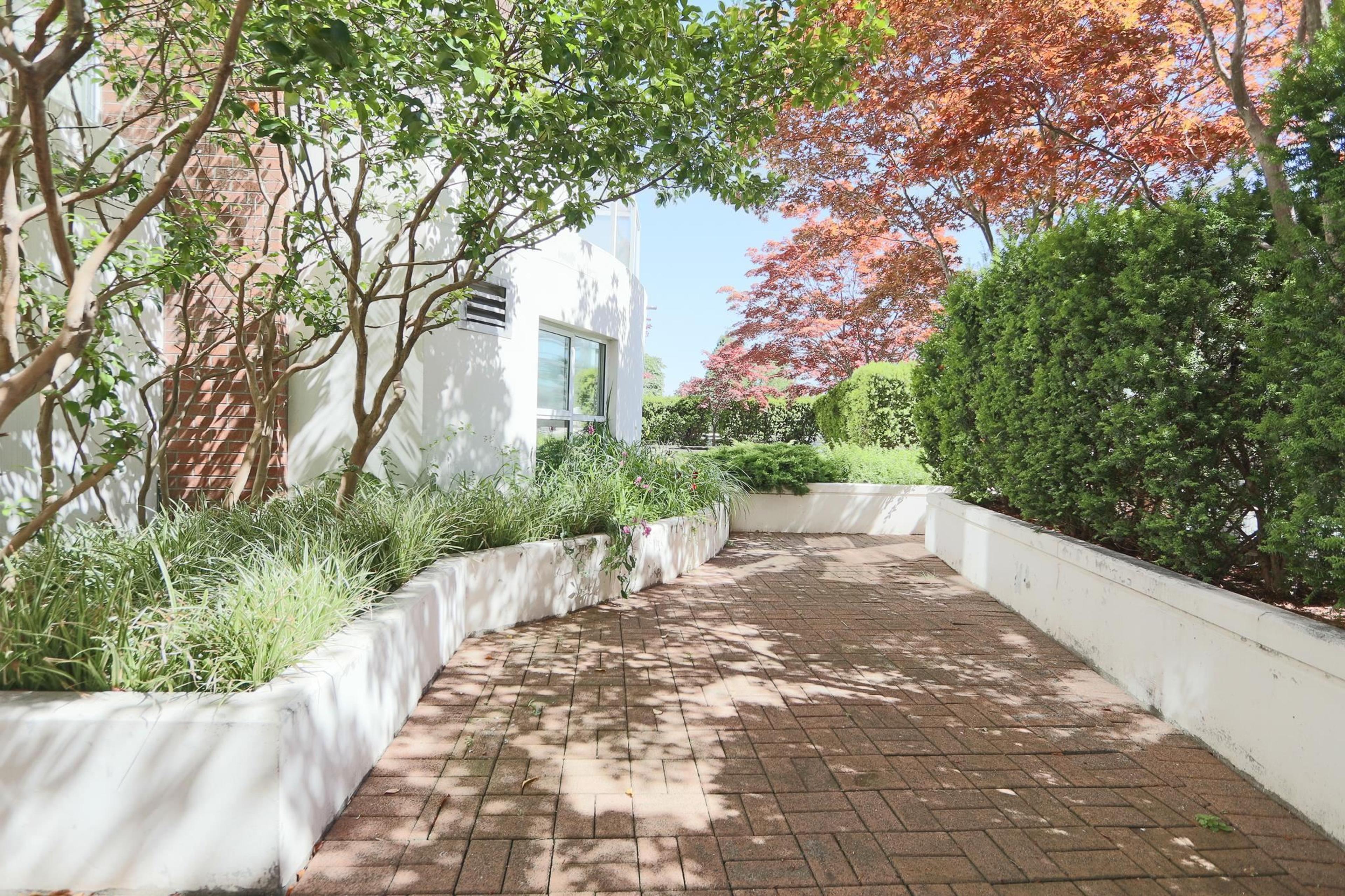 1255 Main Street, Vancouver - Outdoor Amenities - Garden / Yard/ Backyard/ Porch/ Deck - Photo 1