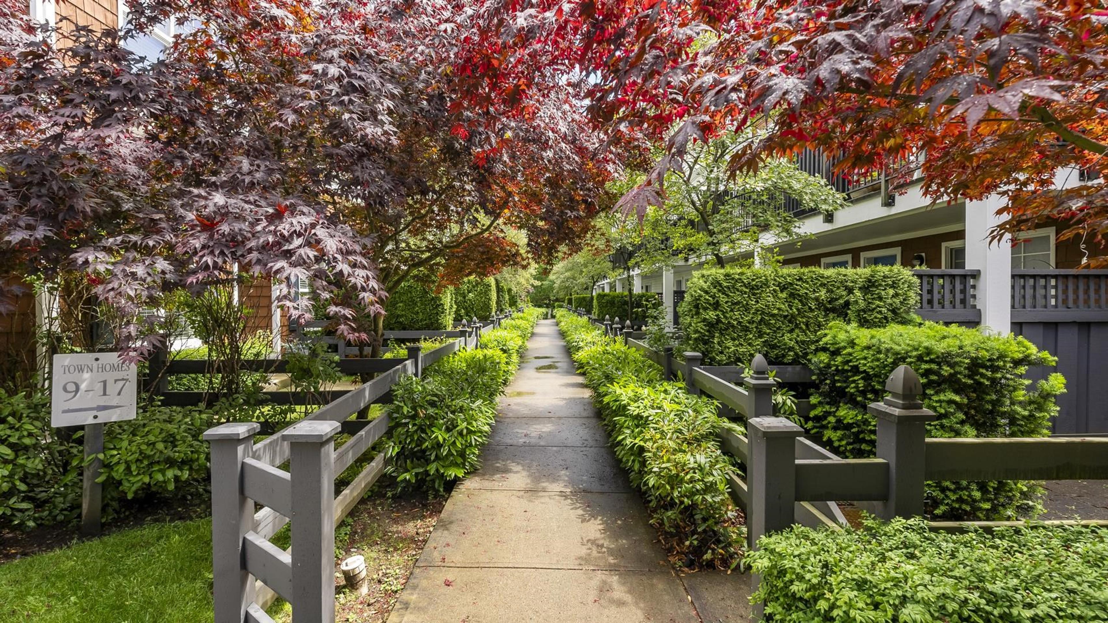 14905 60th Avenue, Surrey - Exteriors - Full Complex View - Photo 9