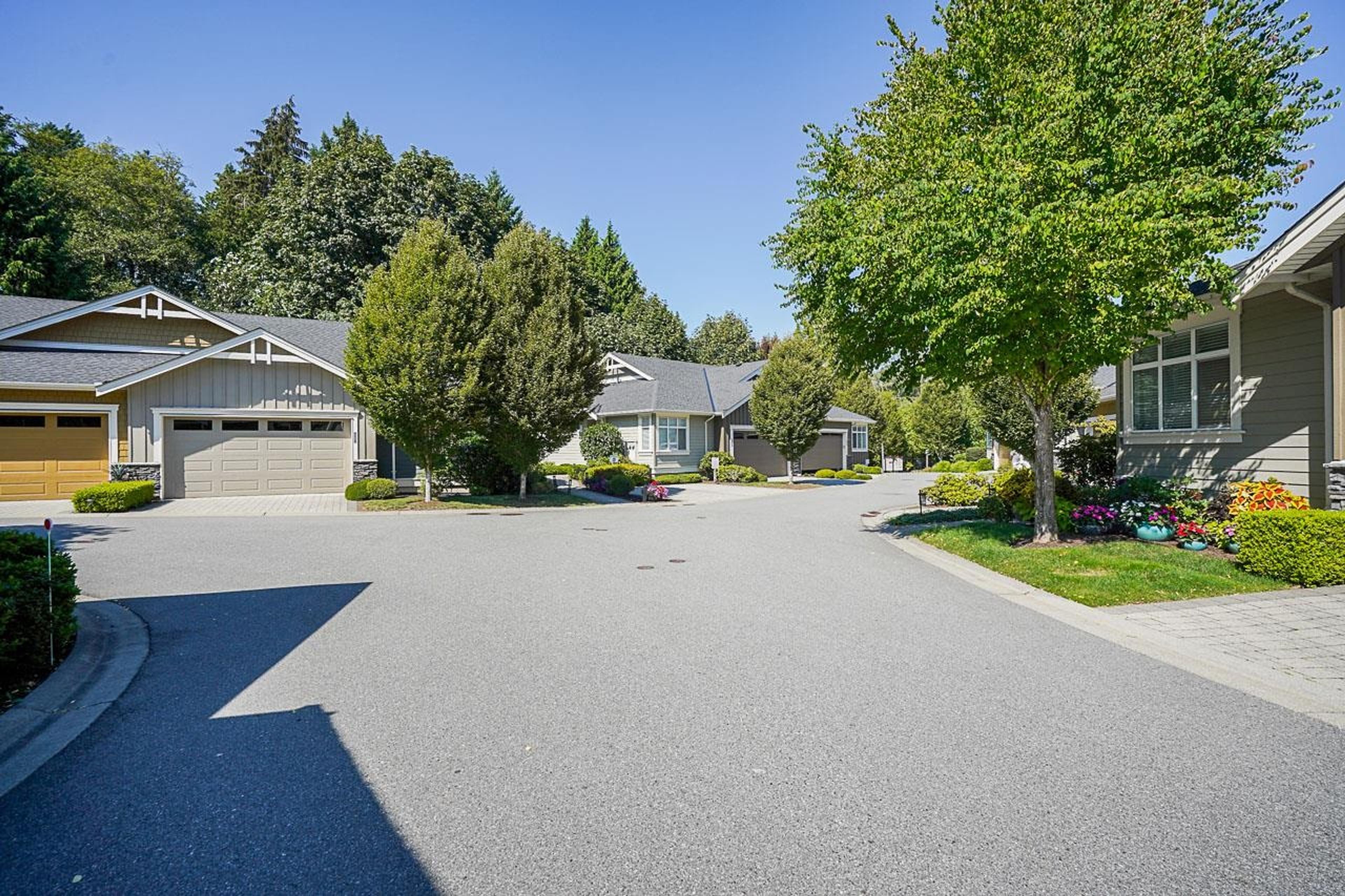 15989 Mountain View Drive, Surrey - Exteriors - Full Complex View - Photo 5