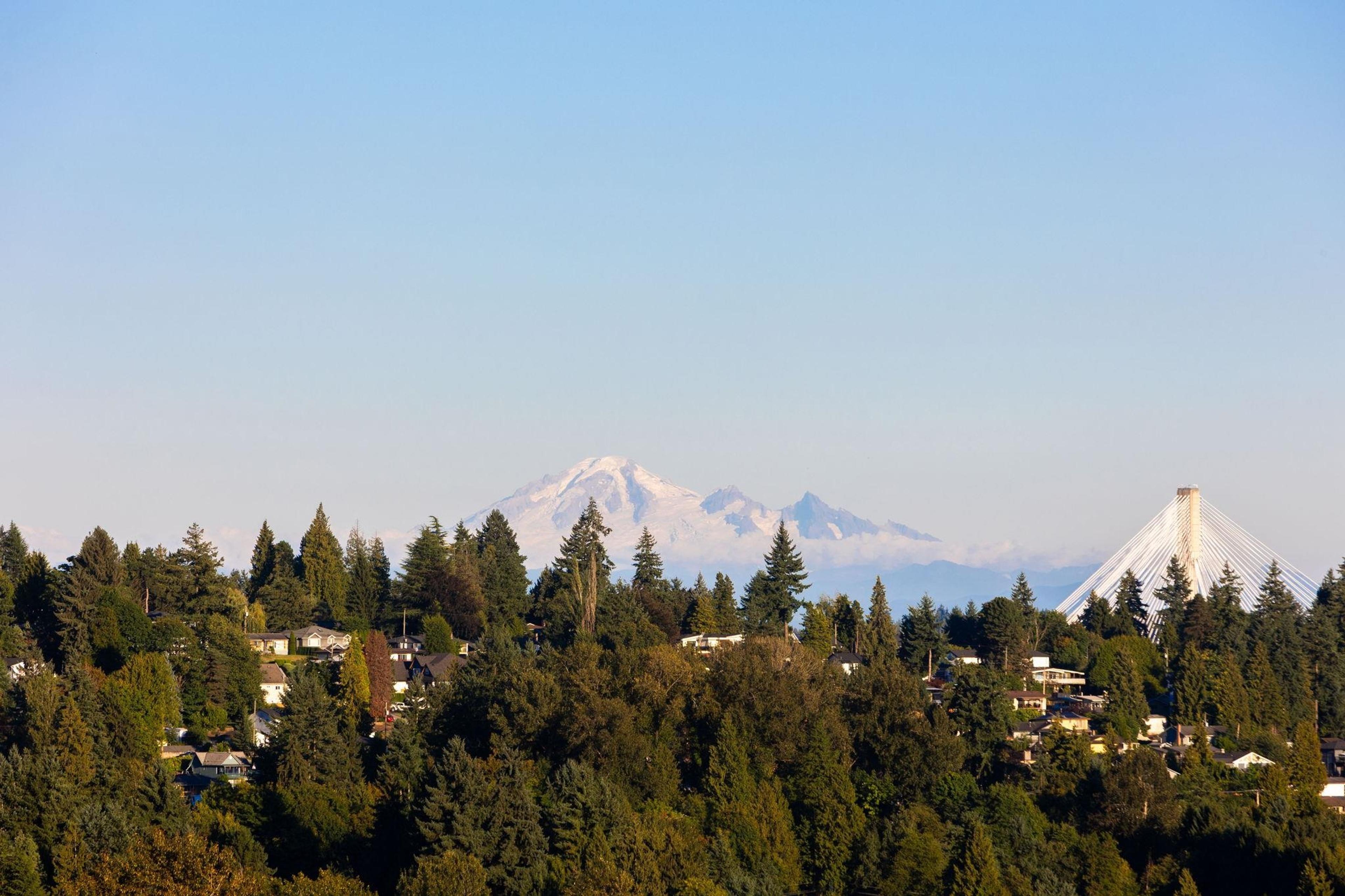1204 Hammond Avenue, Coquitlam - Exteriors - Full Complex View - Photo 10