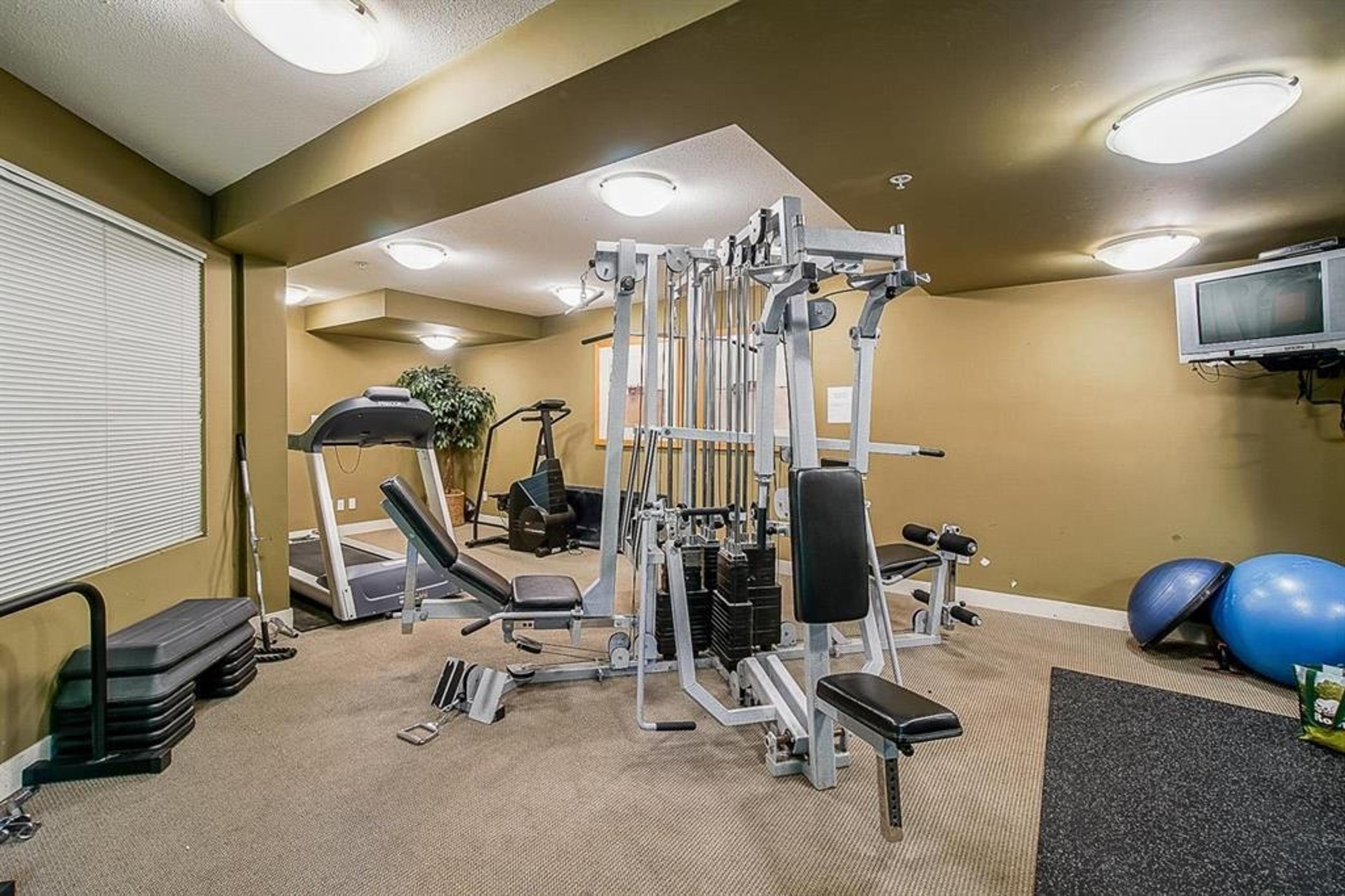 9339 Alberta Road, Richmond - Indoor Amenities - Fitness centers / Gyms - Photo 2