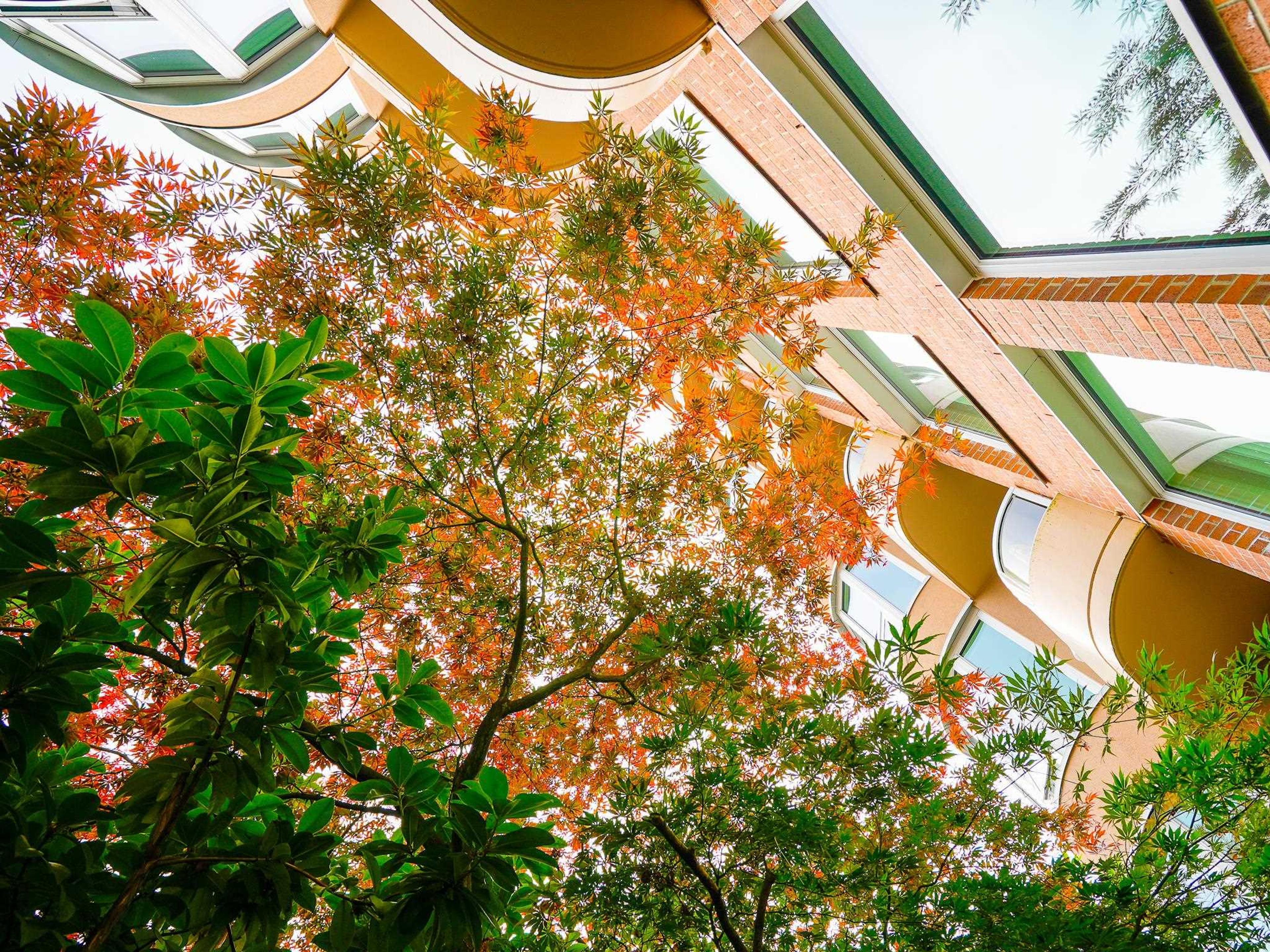 1845 Robson Street, Vancouver - Exteriors - Photo 3